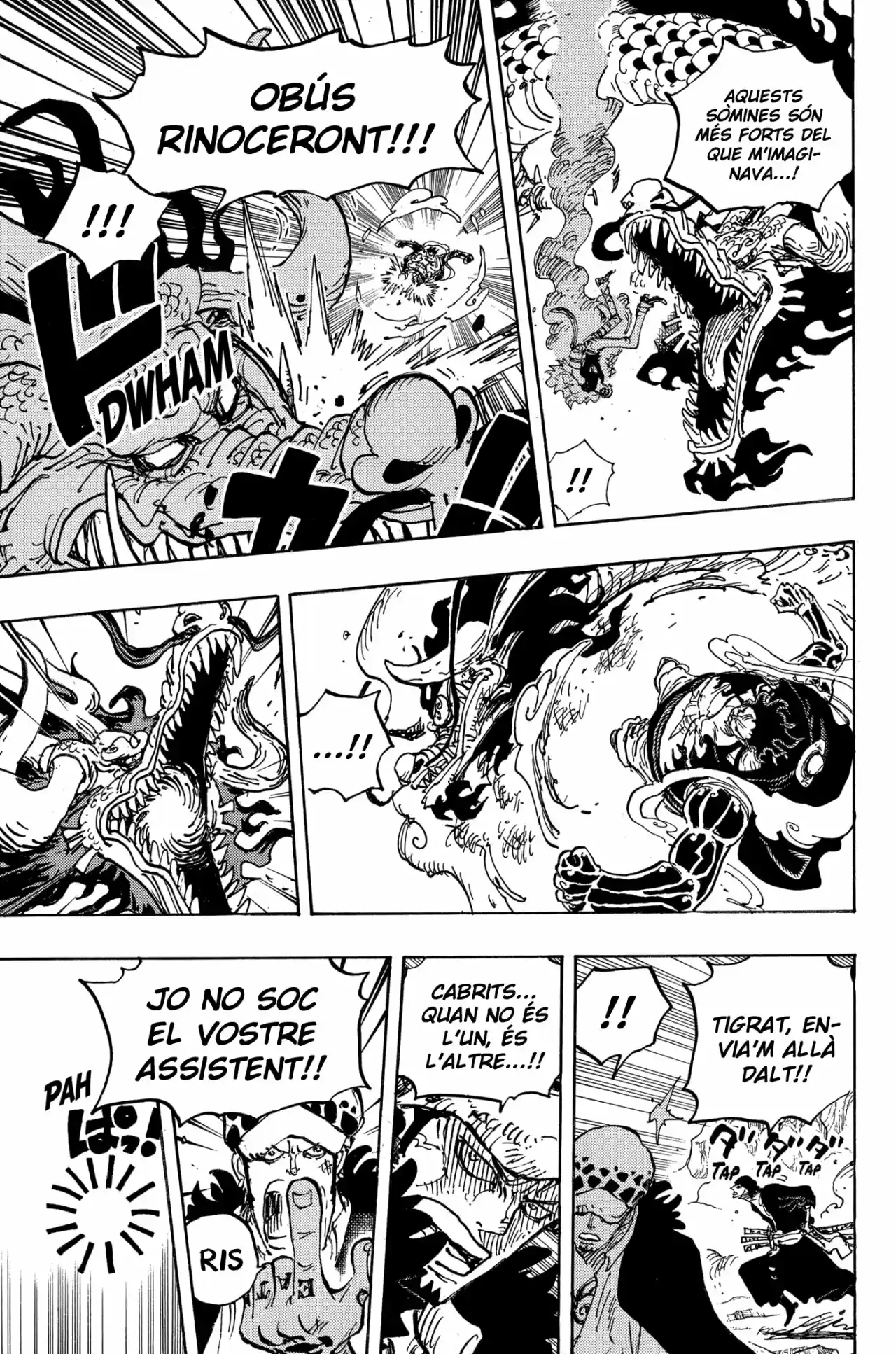 One Piece (Català) - Capítulo 1002 - Página 9 - LectorTMOo