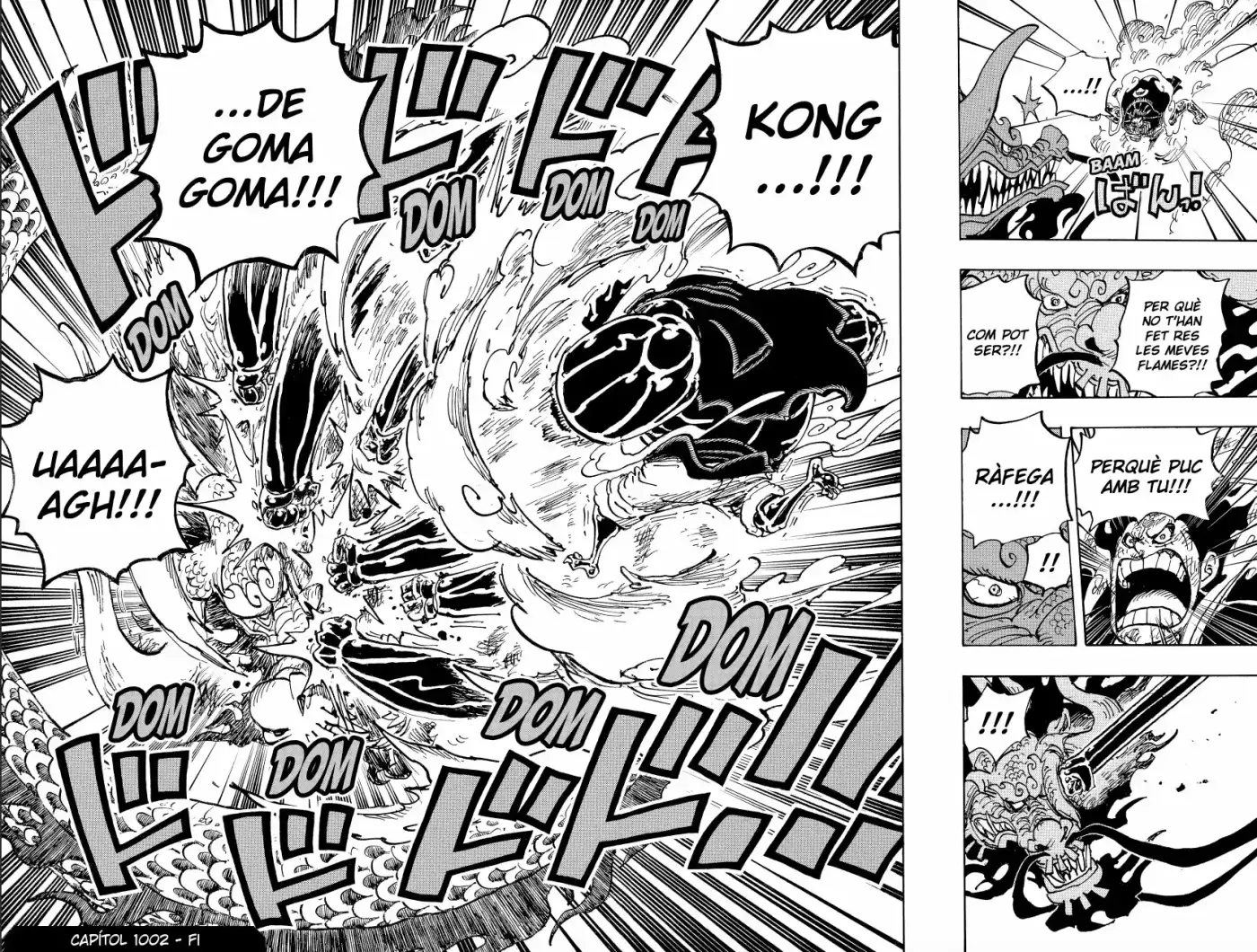One Piece (Català) - Capítulo 1002 - Página 13 - LectorTMOo