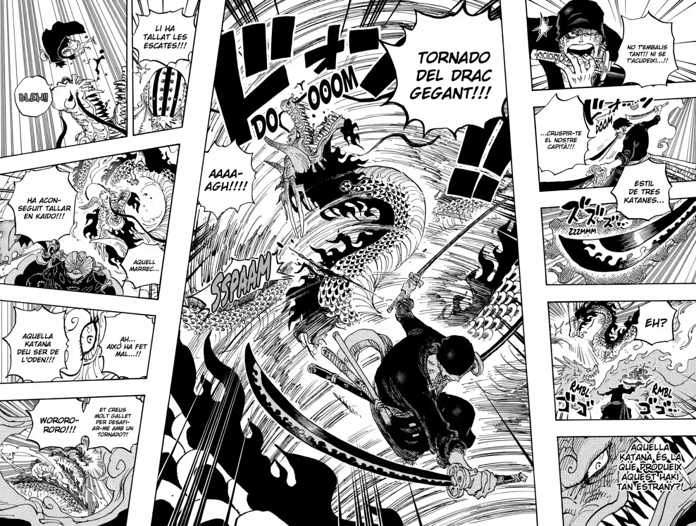 One Piece (Català) - Capítulo 1003 - Página 9 - LectorTMOo