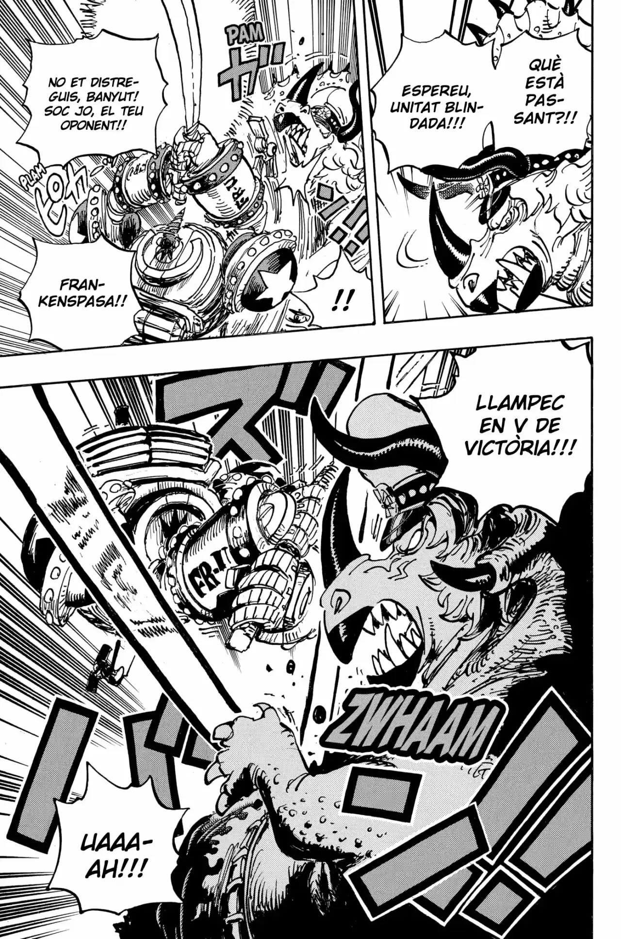 One Piece (Català) - Capítulo 1004 - Página 12 - LectorTMOo