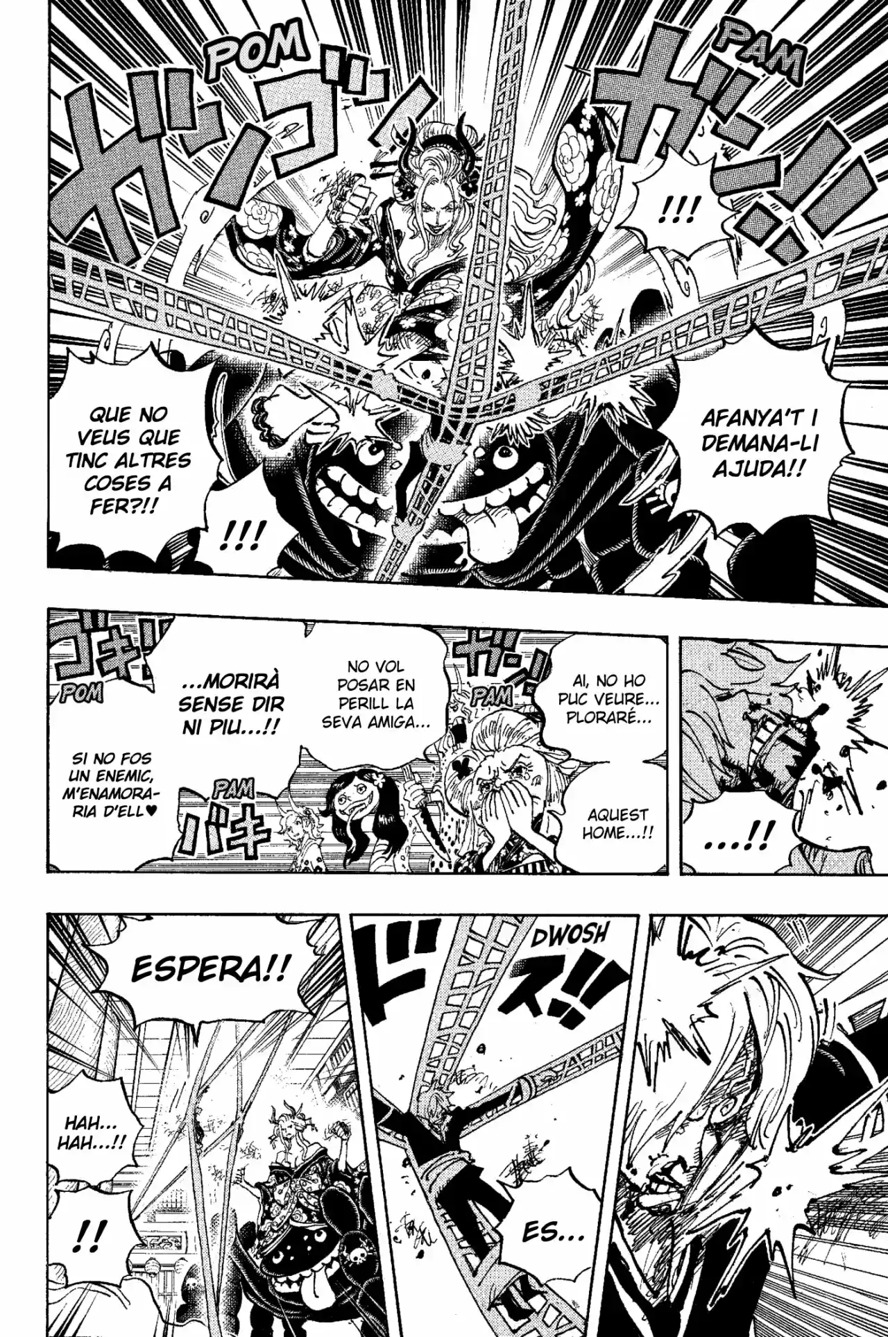 One Piece (Català) - Capítulo 1005 - Página 4 - LectorTMOo