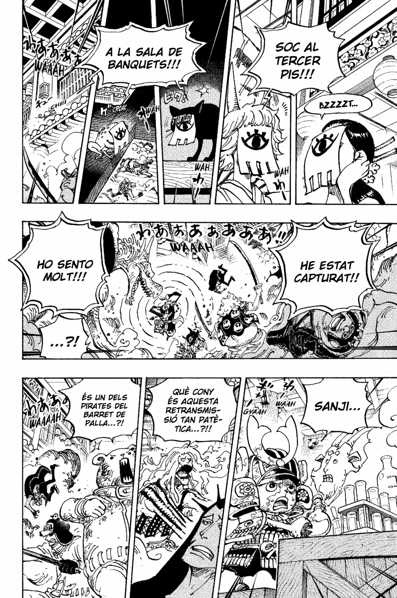 One Piece (Català) - Capítulo 1005 - Página 6 - LectorTMOo