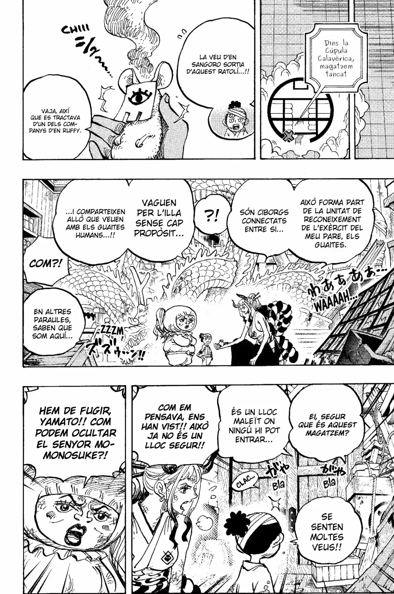 One Piece (Català) - Capítulo 1005 - Página 13 - LectorTMOo