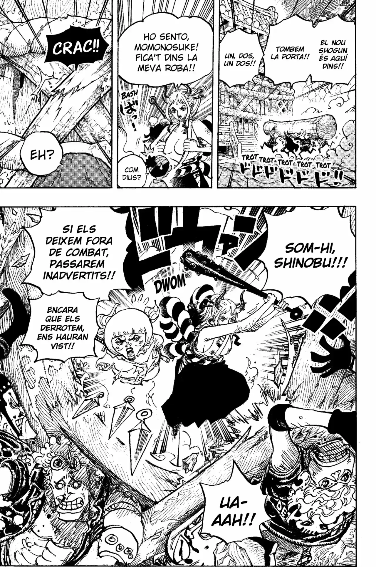 One Piece (Català) - Capítulo 1005 - Página 14 - LectorTMOo