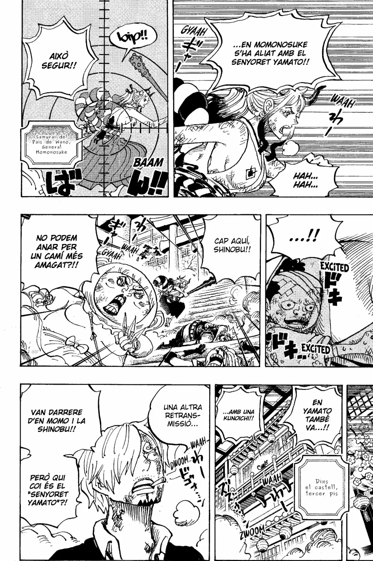 One Piece (Català) - Capítulo 1006 - Página 4 - LectorTMOo