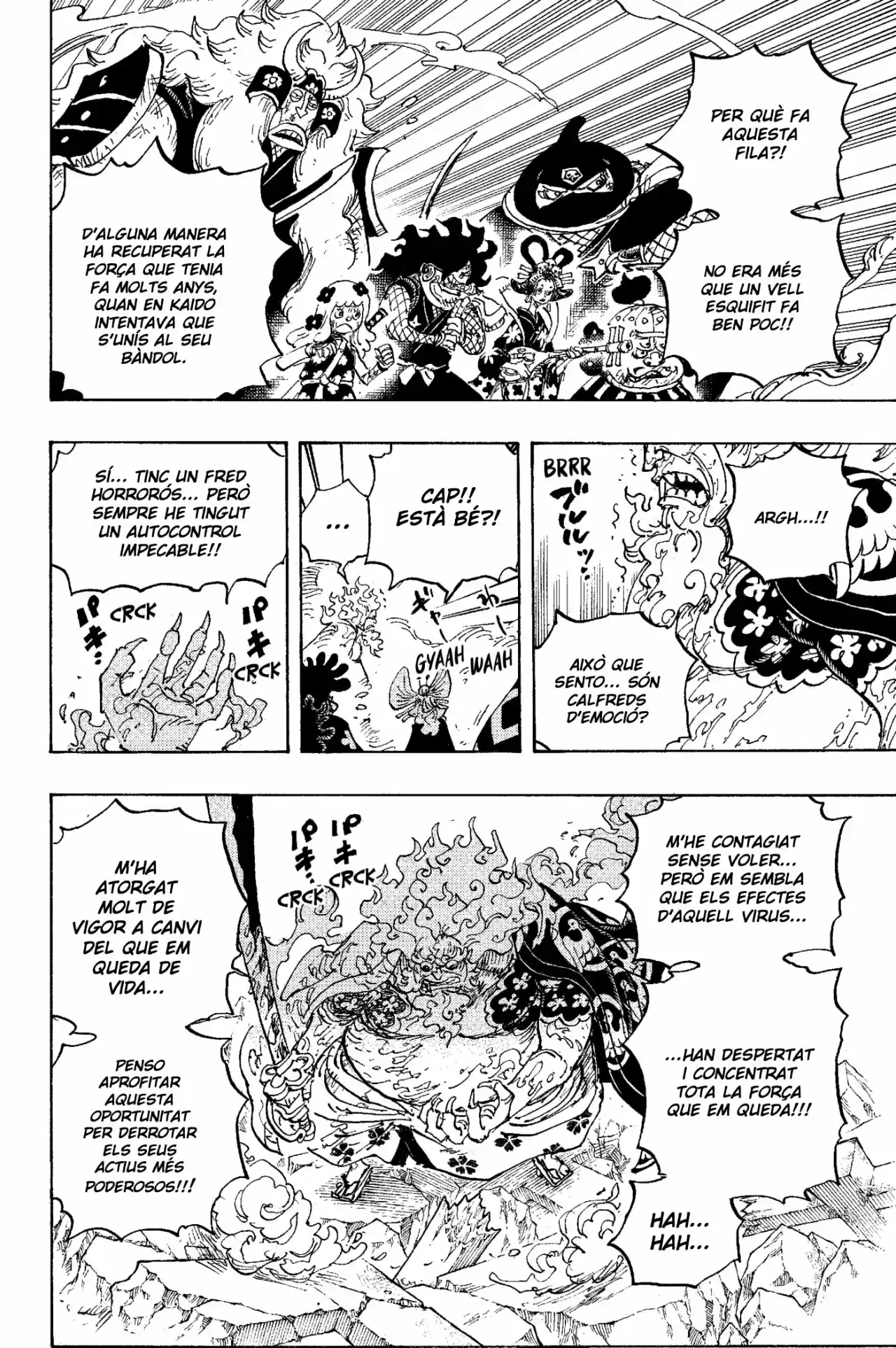 One Piece (Català) - Capítulo 1006 - Página 10 - LectorTMOo