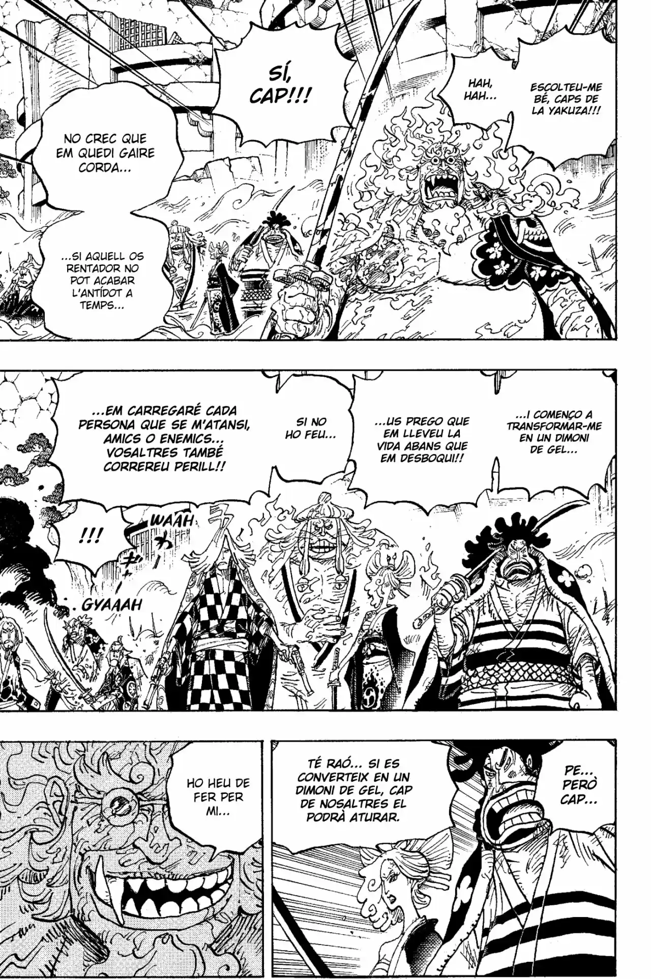 One Piece (Català) - Capítulo 1006 - Página 11 - LectorTMOo