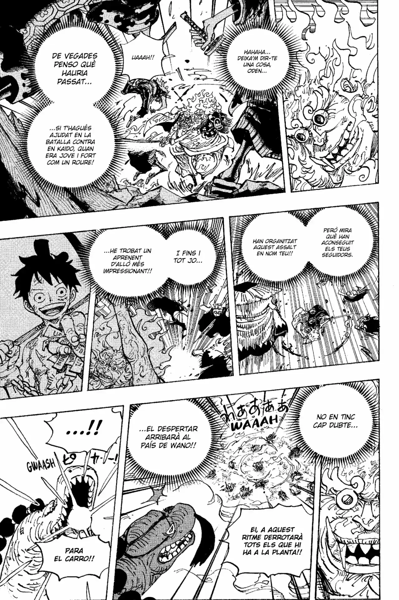 One Piece (Català) - Capítulo 1006 - Página 13 - LectorTMOo