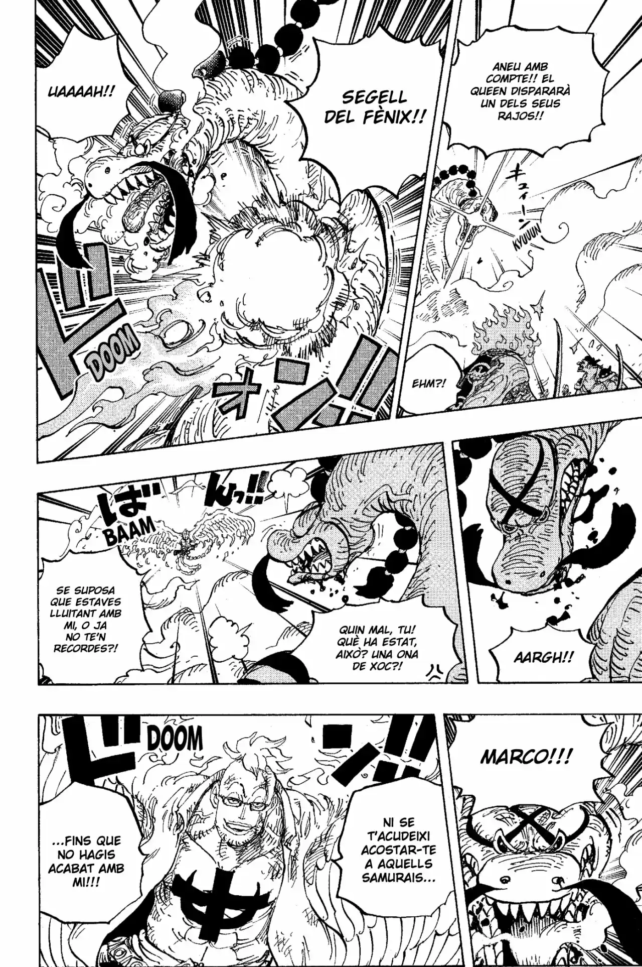 One Piece (Català) - Capítulo 1006 - Página 14 - LectorTMOo