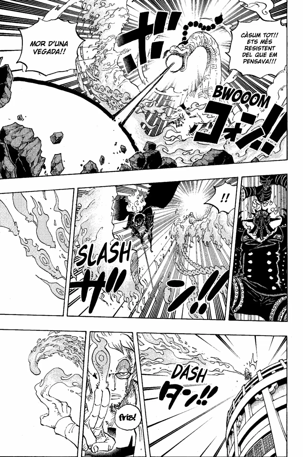One Piece (Català) - Capítulo 1006 - Página 15 - LectorTMOo