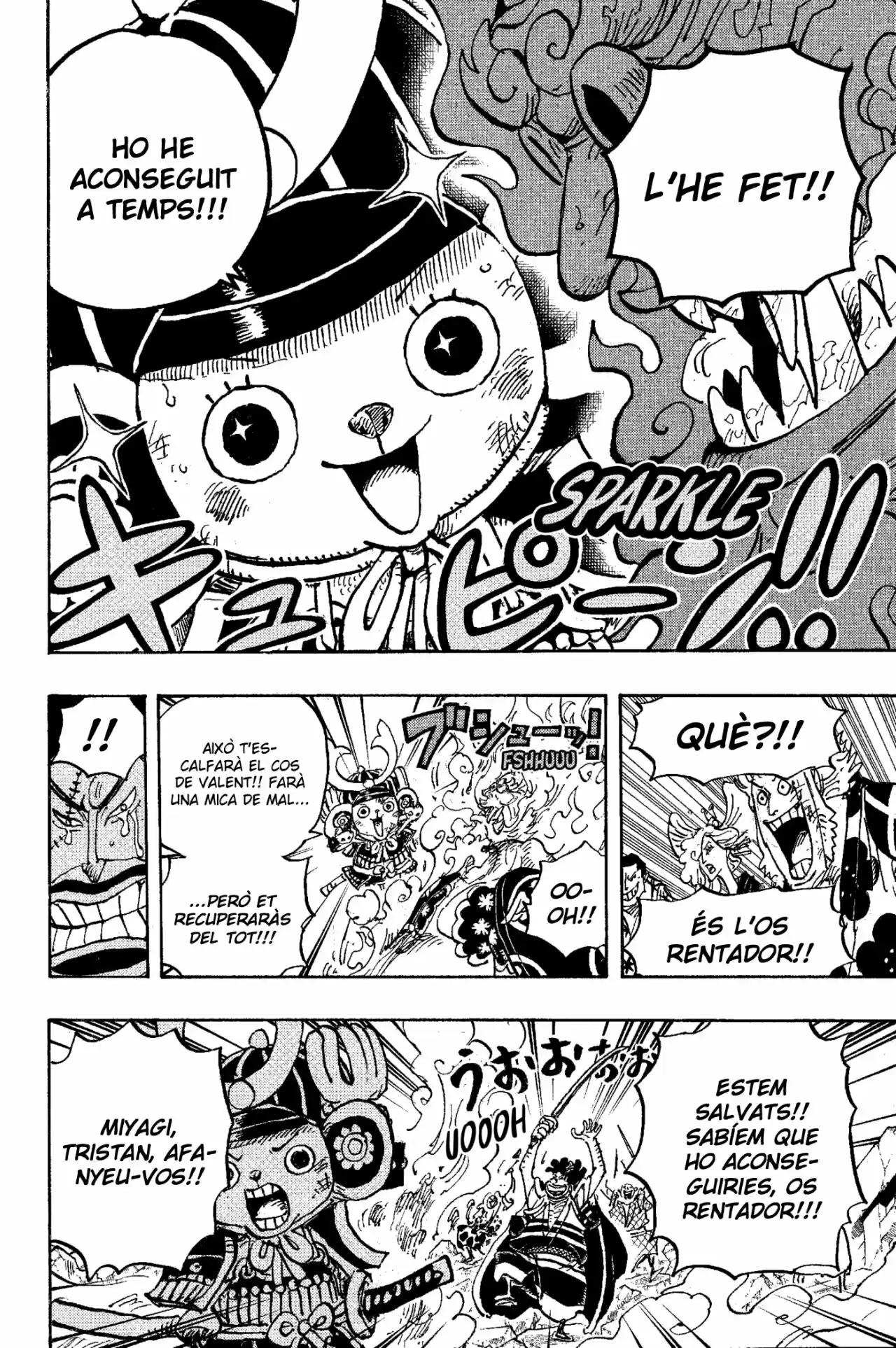 One Piece (Català) - Capítulo 1007 - Página 8 - LectorTMOo
