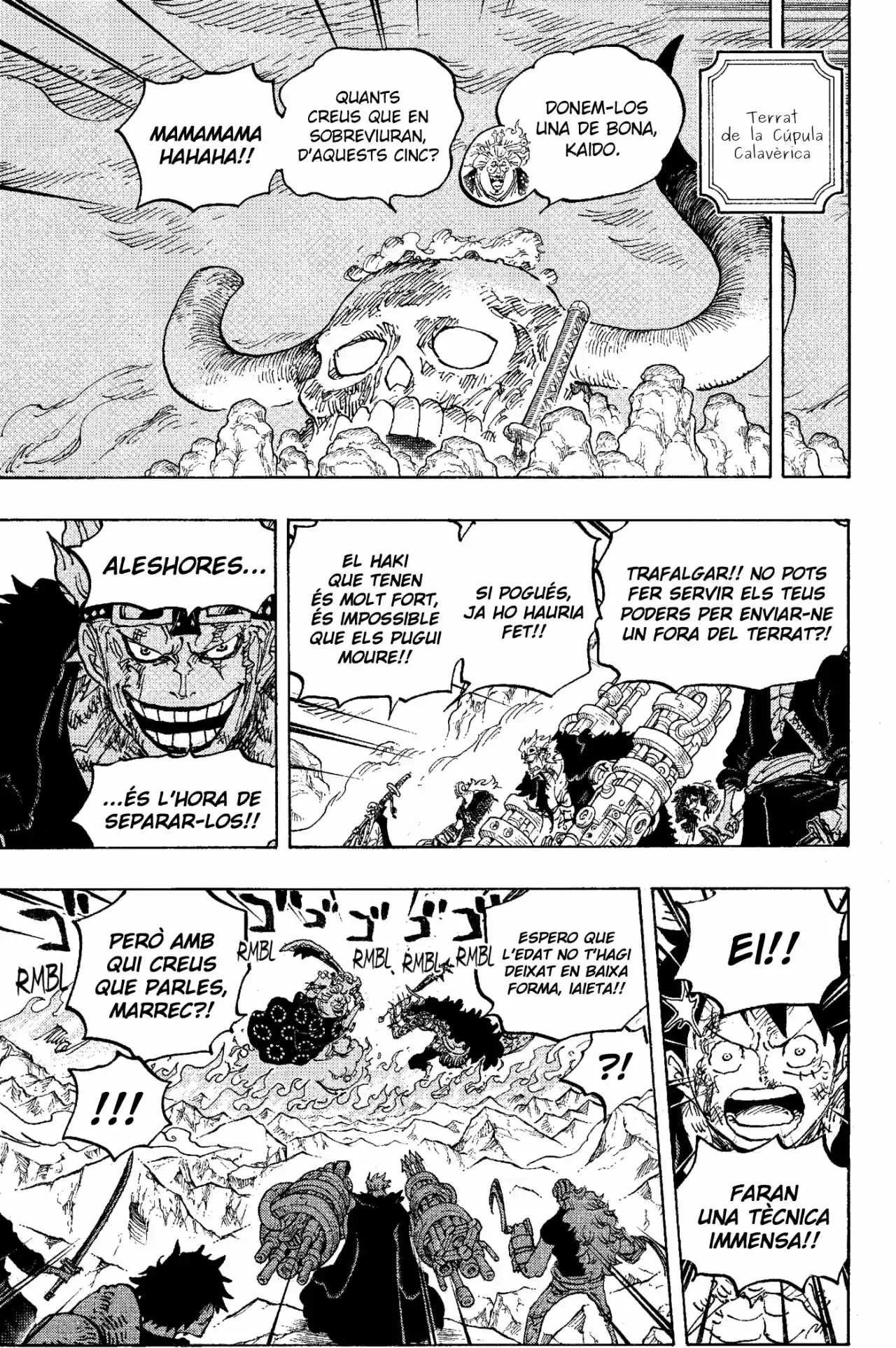 One Piece (Català) - Capítulo 1009 - Página 5 - LectorTMOo