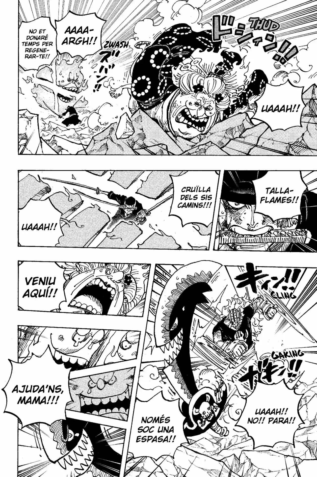 One Piece (Català) - Capítulo 1009 - Página 13 - LectorTMOo