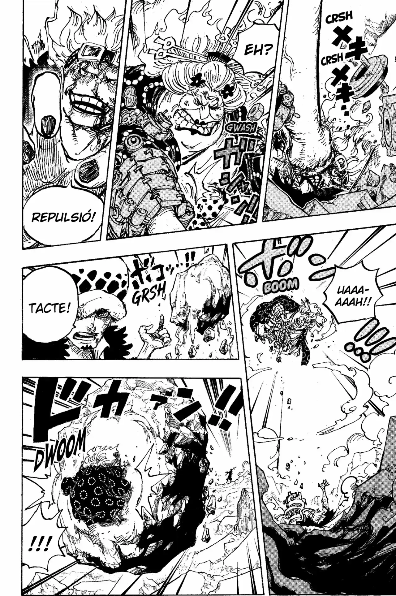 One Piece (Català) - Capítulo 1009 - Página 15 - LectorTMOo