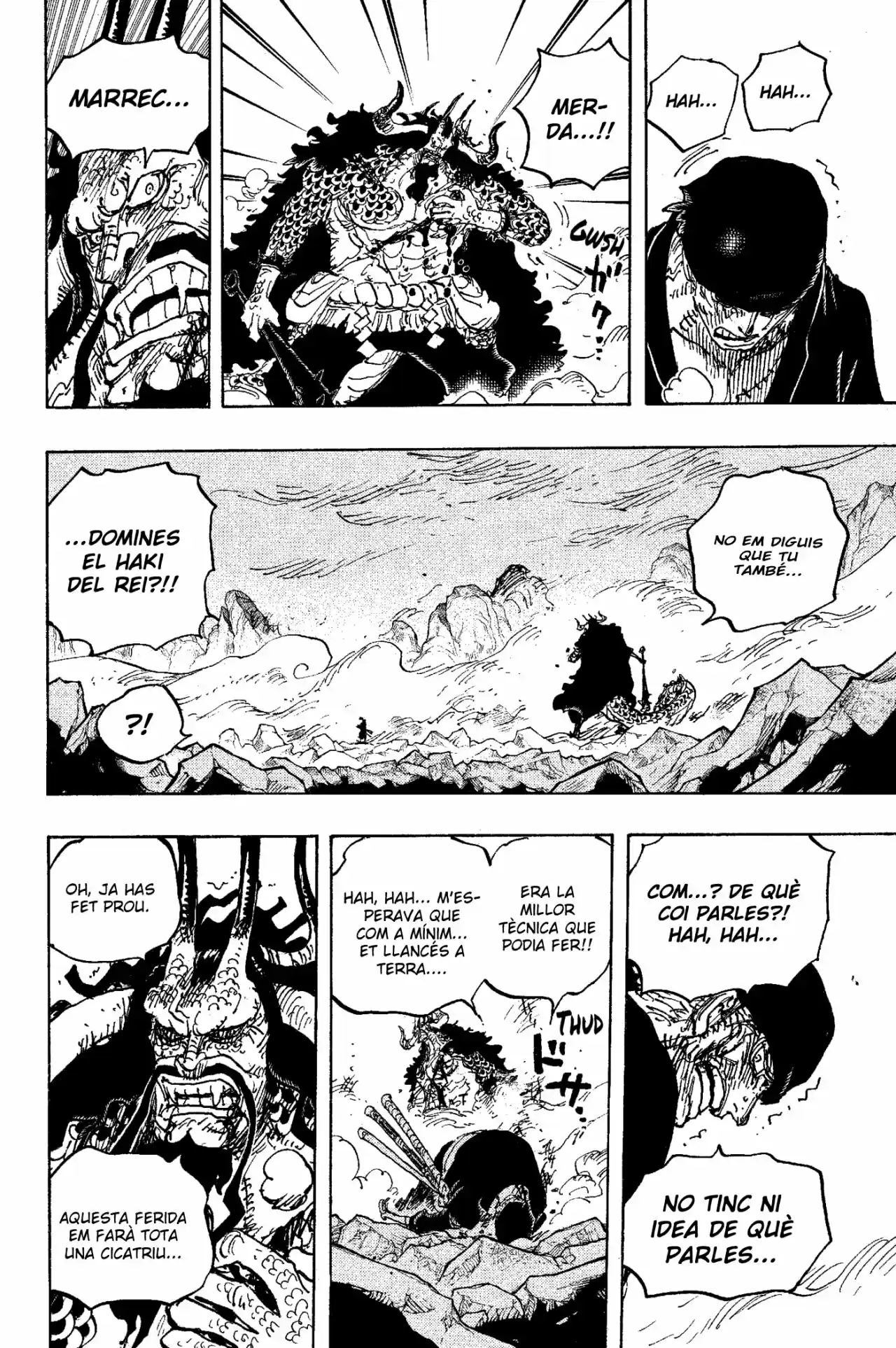 One Piece (Català) - Capítulo 1010 - Página 9 - LectorTMOo