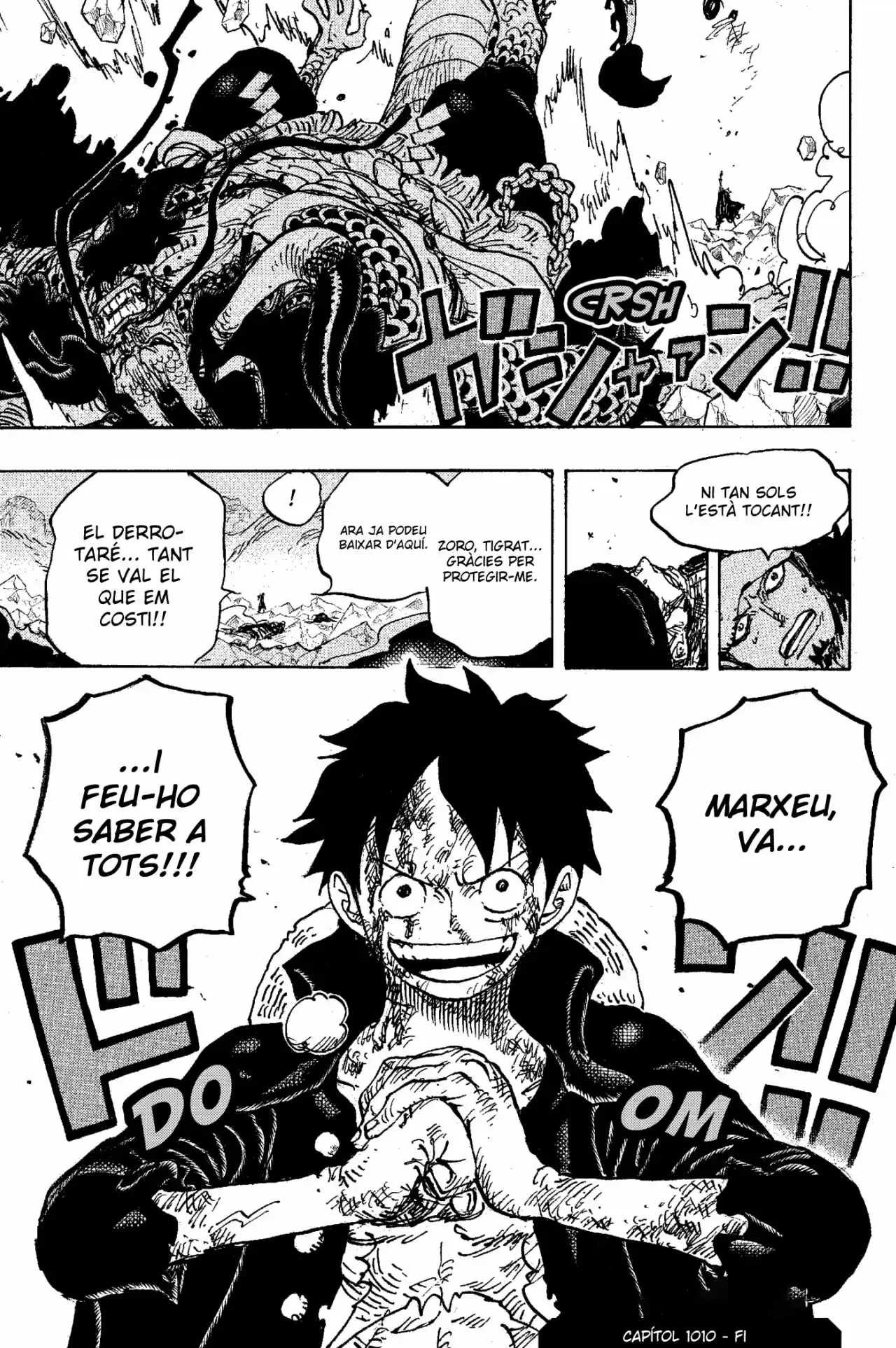 One Piece (Català) - Capítulo 1010 - Página 16 - LectorTMOo