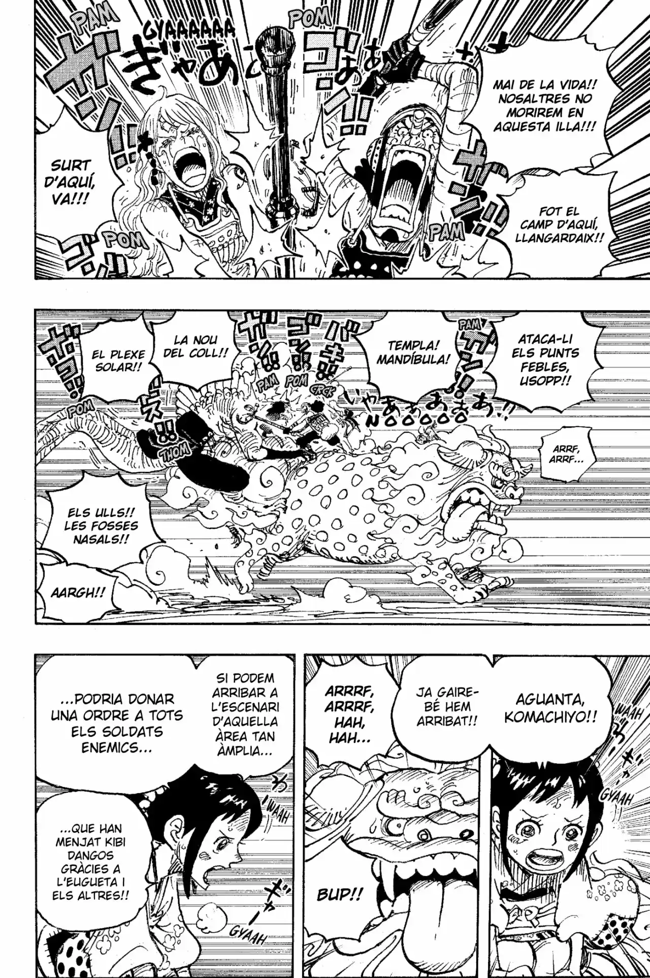 One Piece (Català) - Capítulo 1011 - Página 12 - LectorTMOo