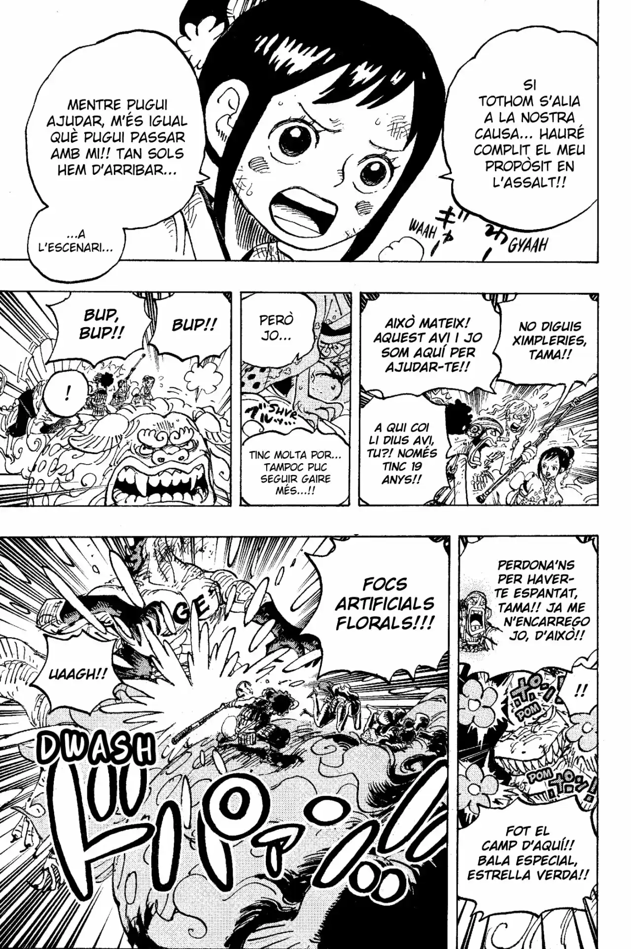 One Piece (Català) - Capítulo 1011 - Página 13 - LectorTMOo