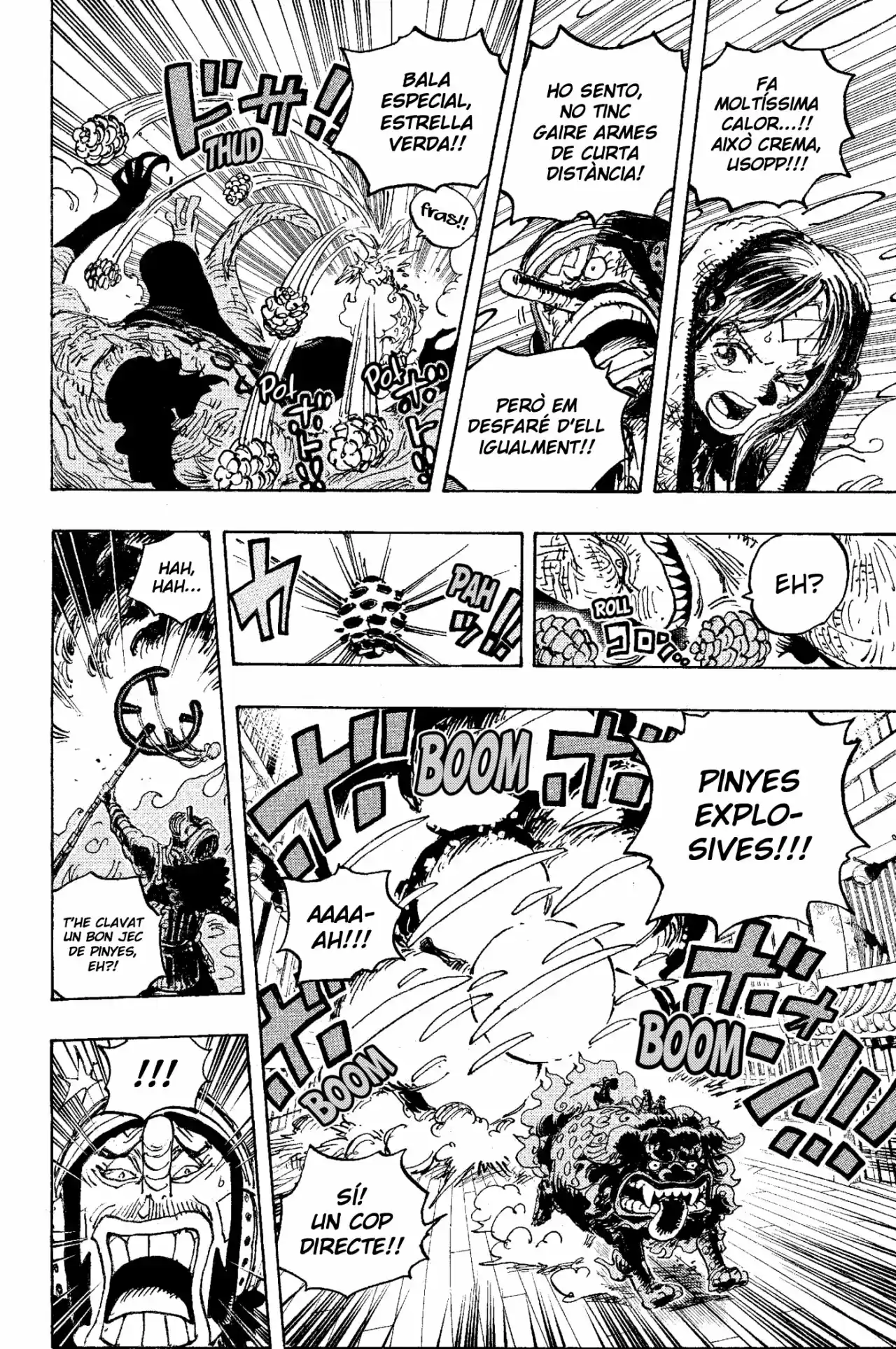 One Piece (Català) - Capítulo 1011 - Página 14 - LectorTMOo
