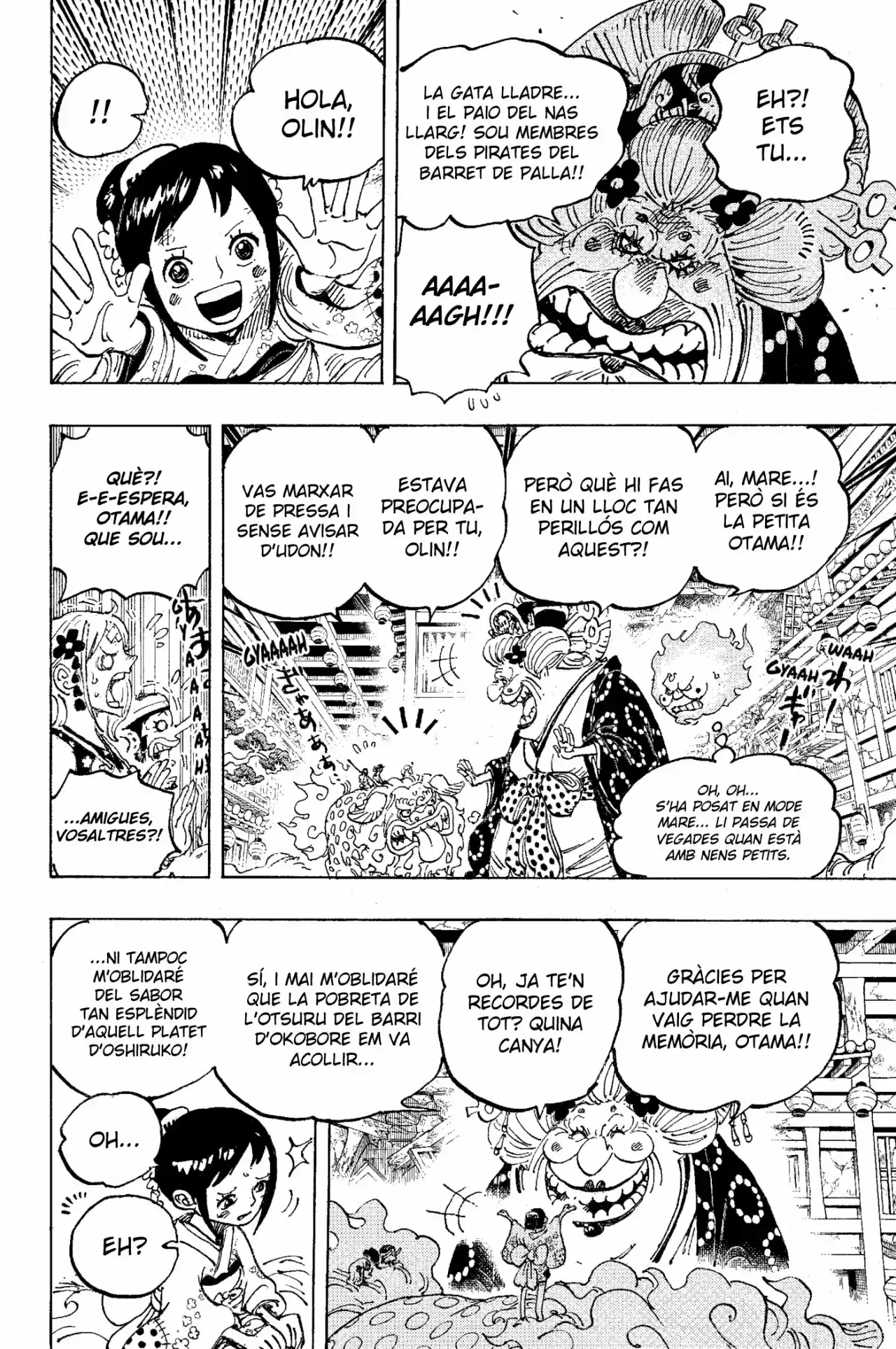 One Piece (Català) - Capítulo 1011 - Página 16 - LectorTMOo