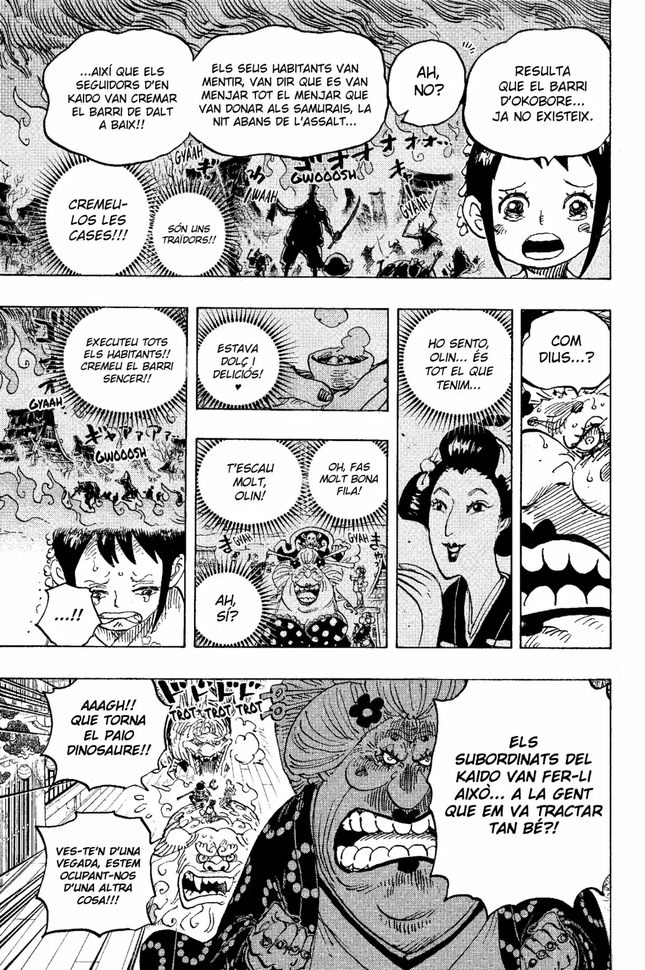 One Piece (Català) - Capítulo 1011 - Página 17 - LectorTMOo