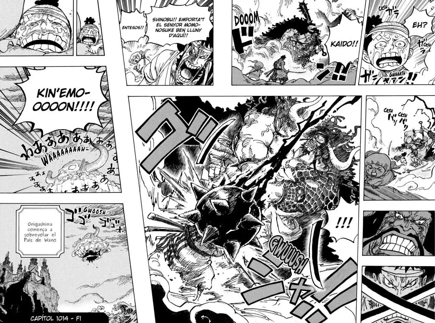 One Piece (Català) - Capítulo 1014 - Página 14 - LectorTMOo