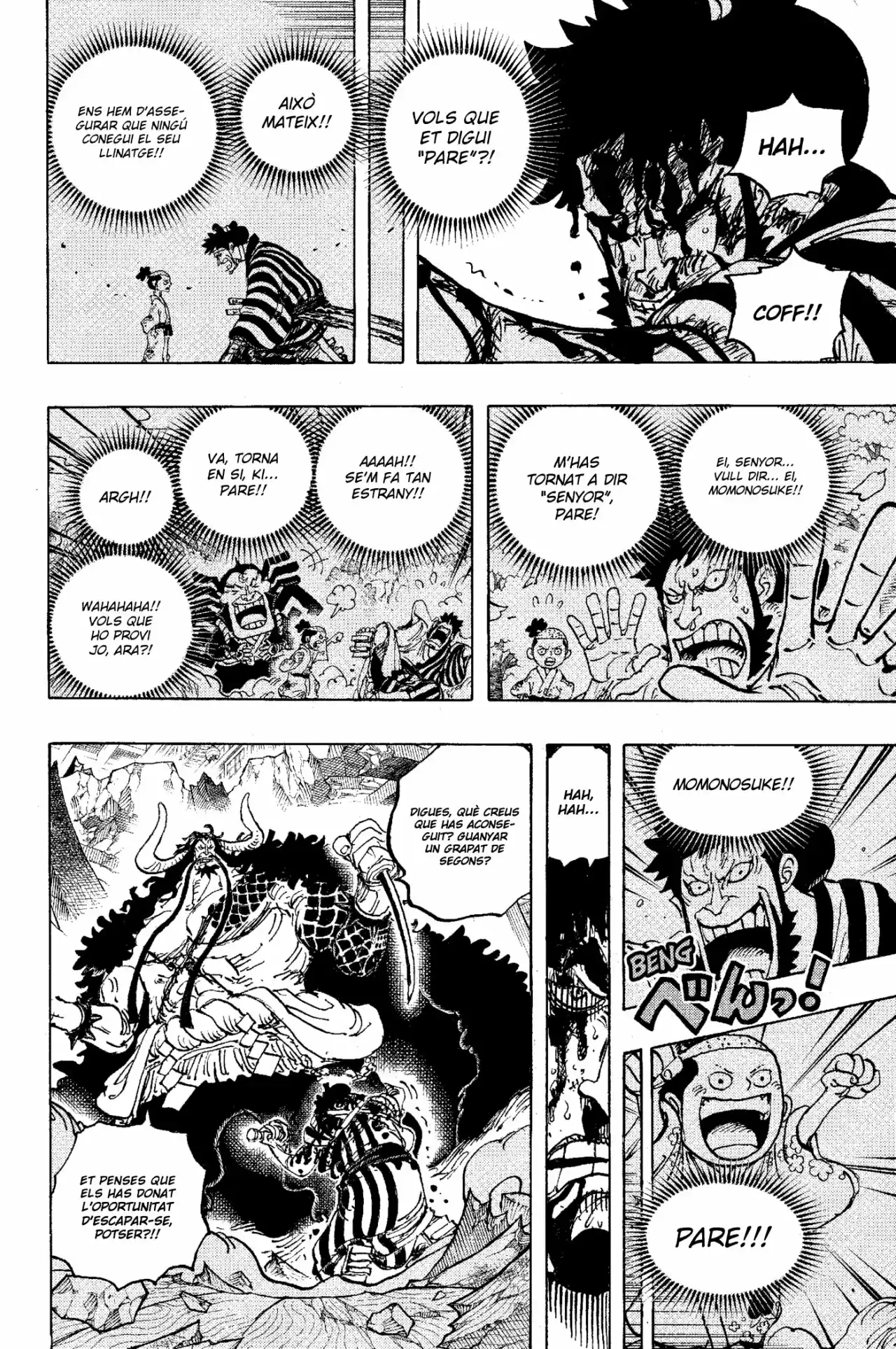 One Piece (Català) - Capítulo 1015 - Página 9 - LectorTMOo