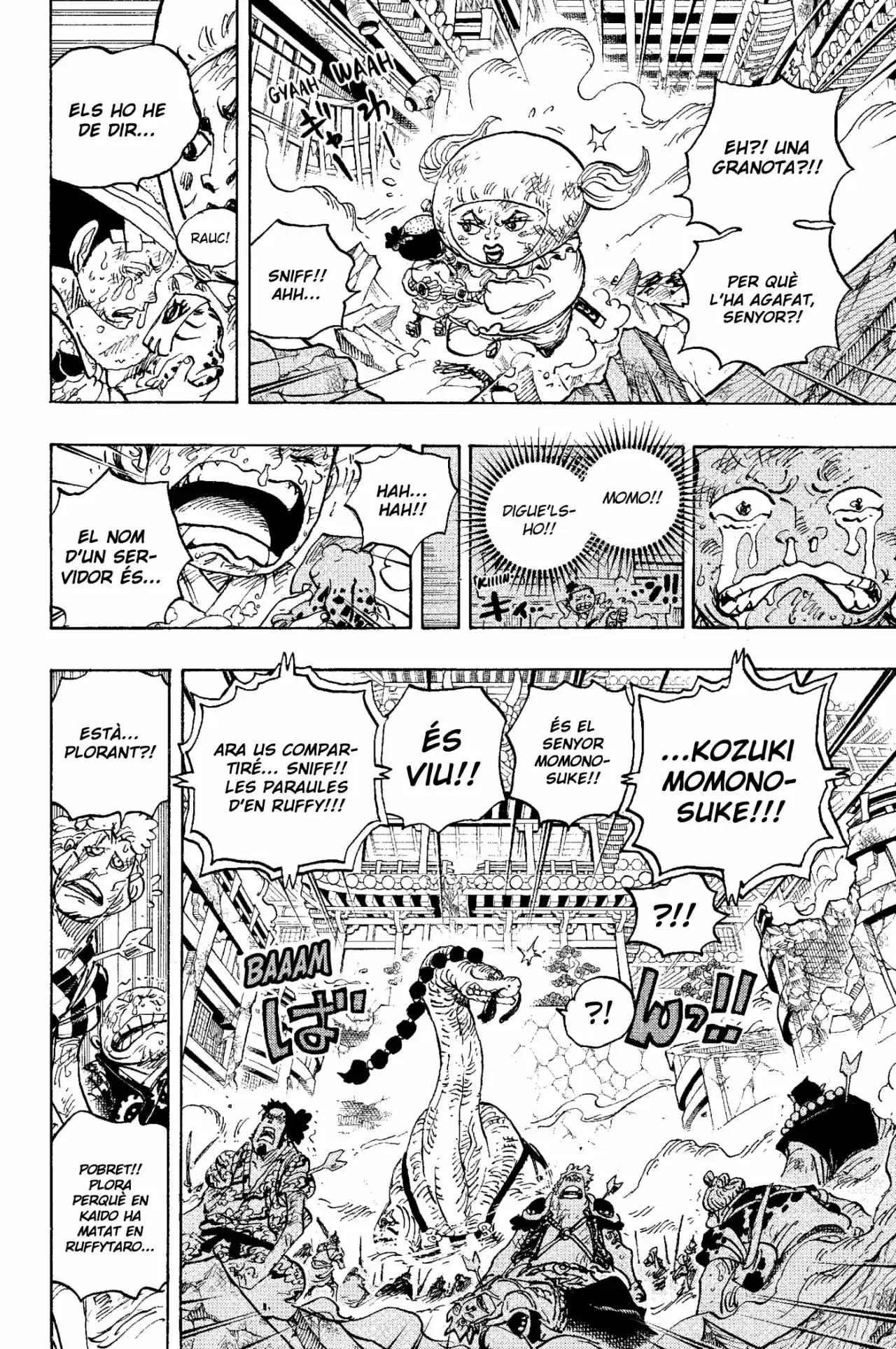 One Piece (Català) - Capítulo 1015 - Página 11 - LectorTMOo