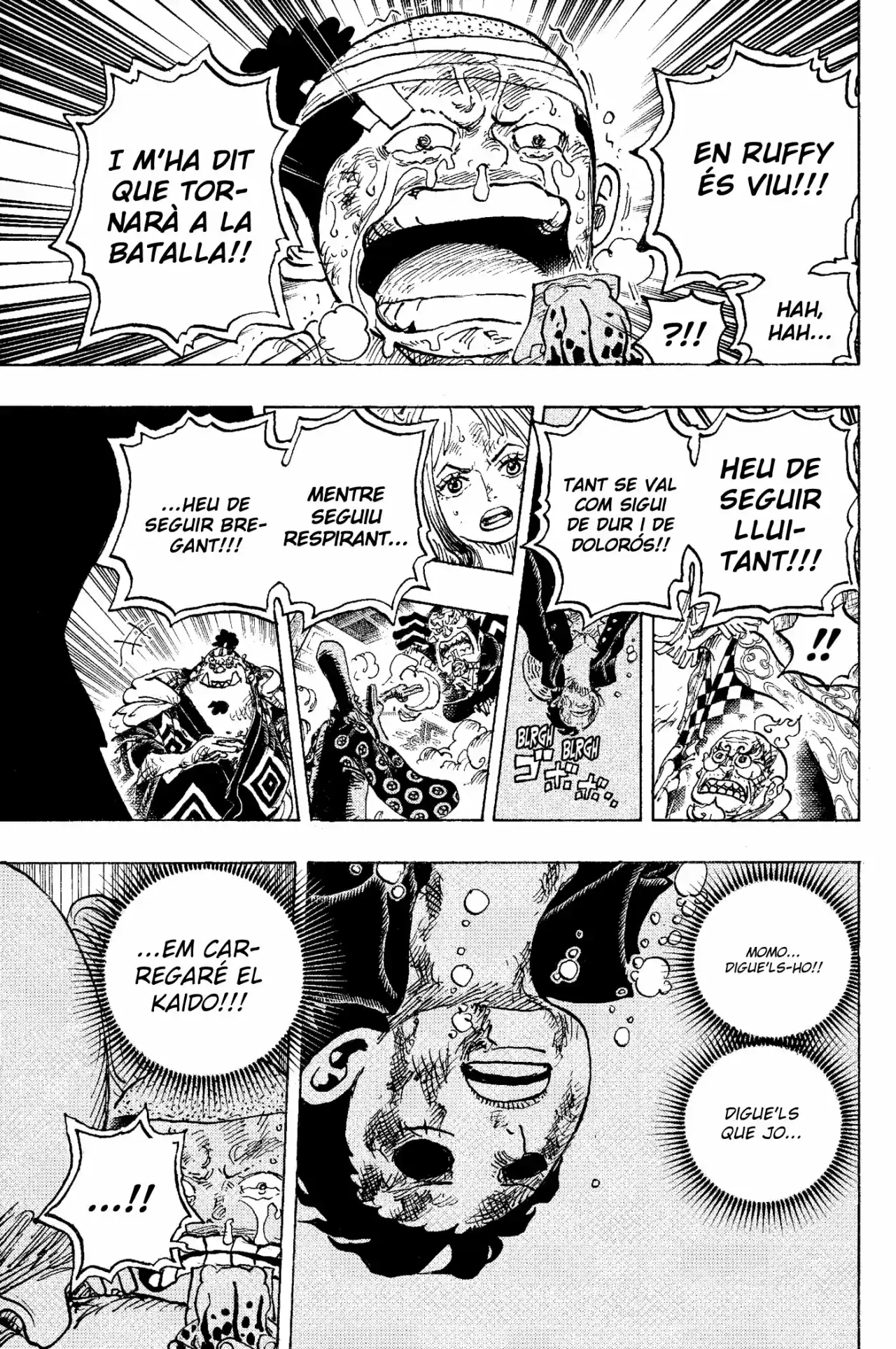 One Piece (Català) - Capítulo 1015 - Página 12 - LectorTMOo