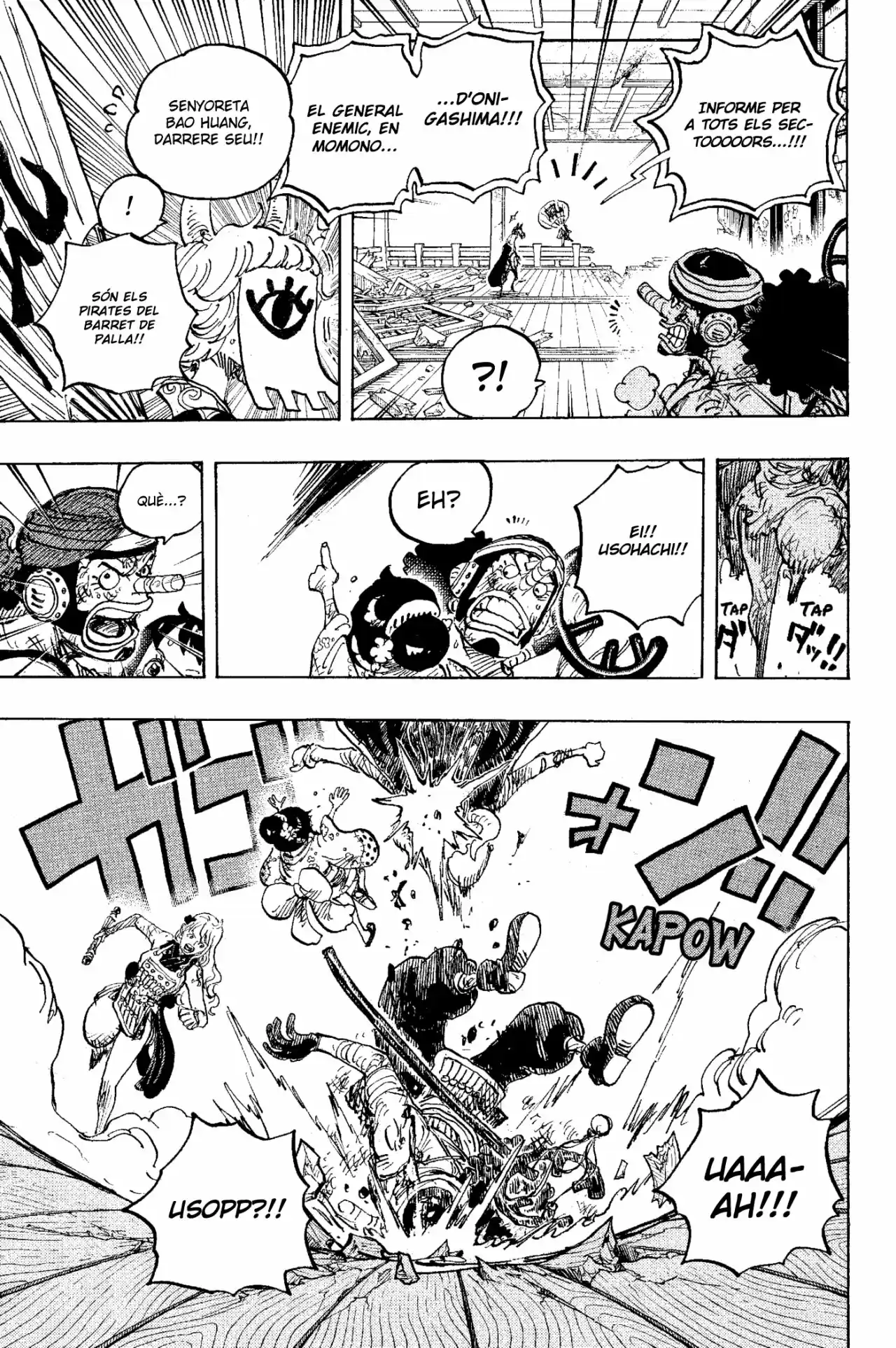 One Piece (Català) - Capítulo 1016 - Página 7 - LectorTMOo