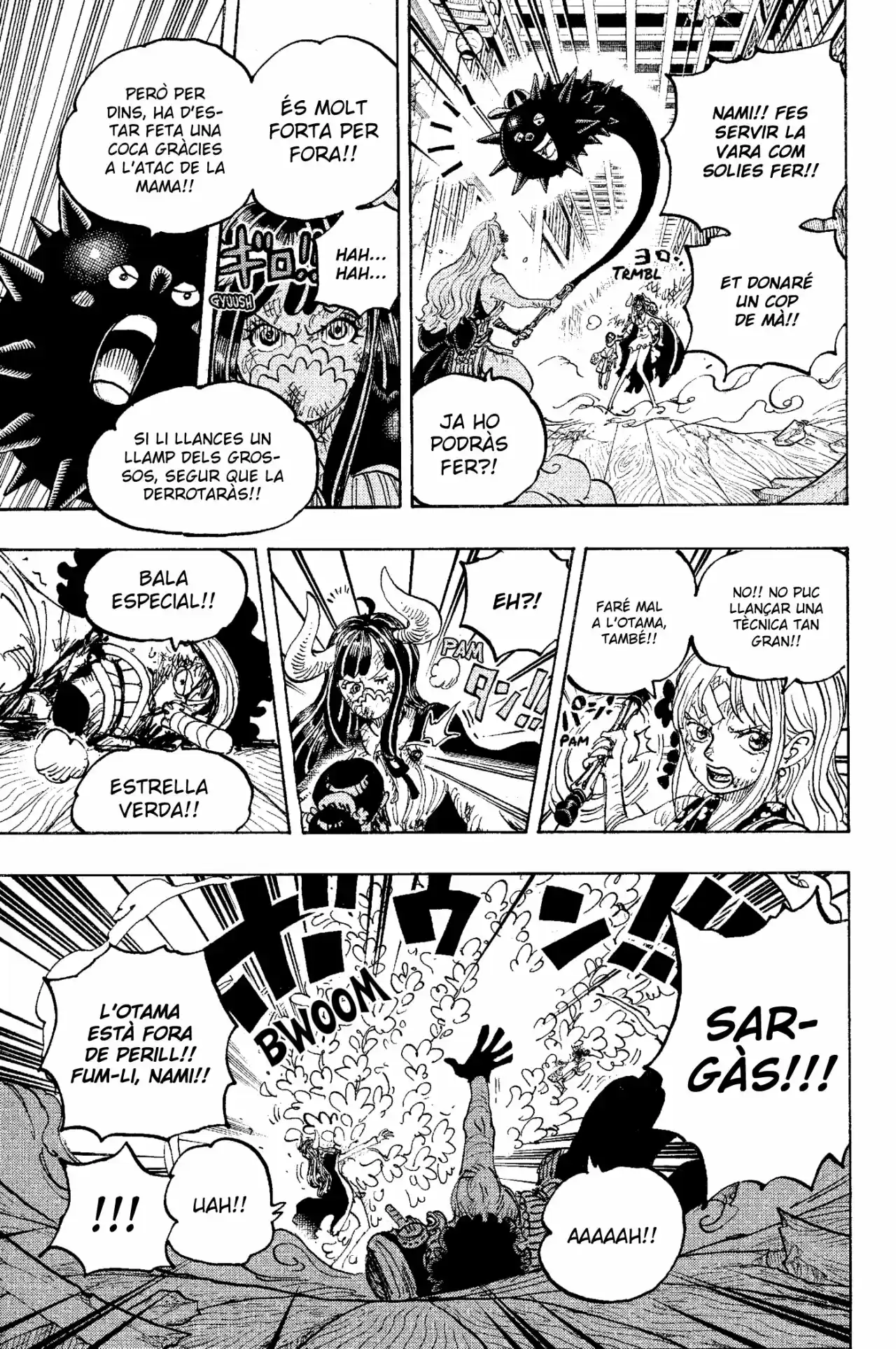One Piece (Català) - Capítulo 1016 - Página 9 - LectorTMOo