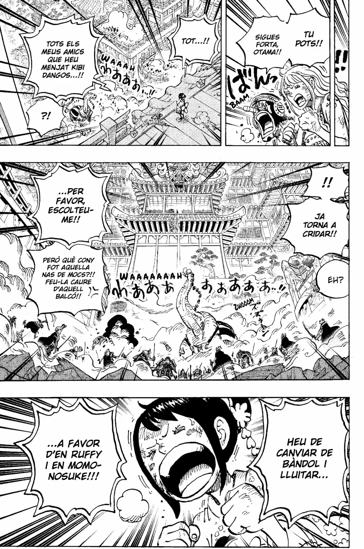 One Piece (Català) - Capítulo 1017 - Página 5 - LectorTMOo