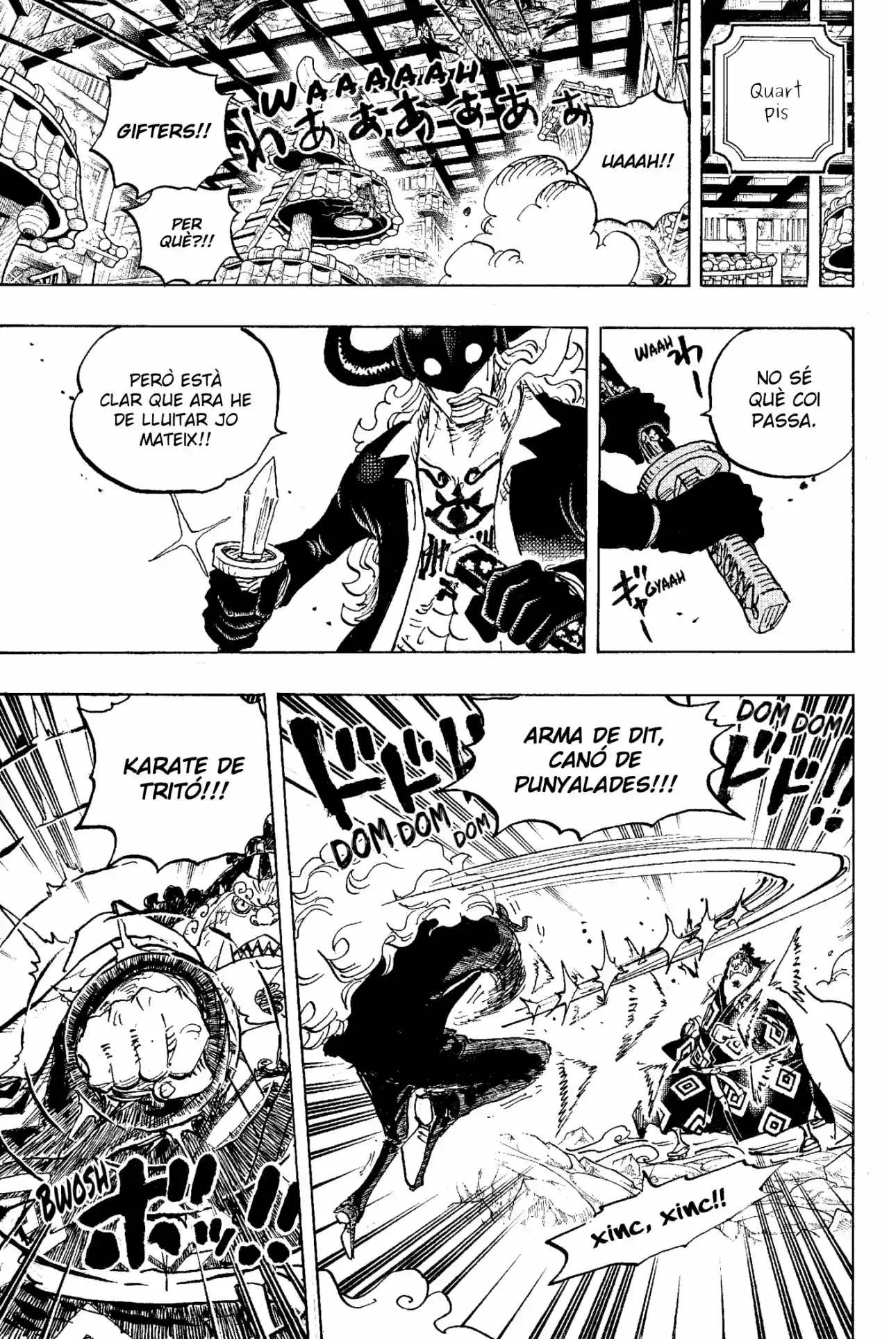 One Piece (Català) - Capítulo 1017 - Página 13 - LectorTMOo