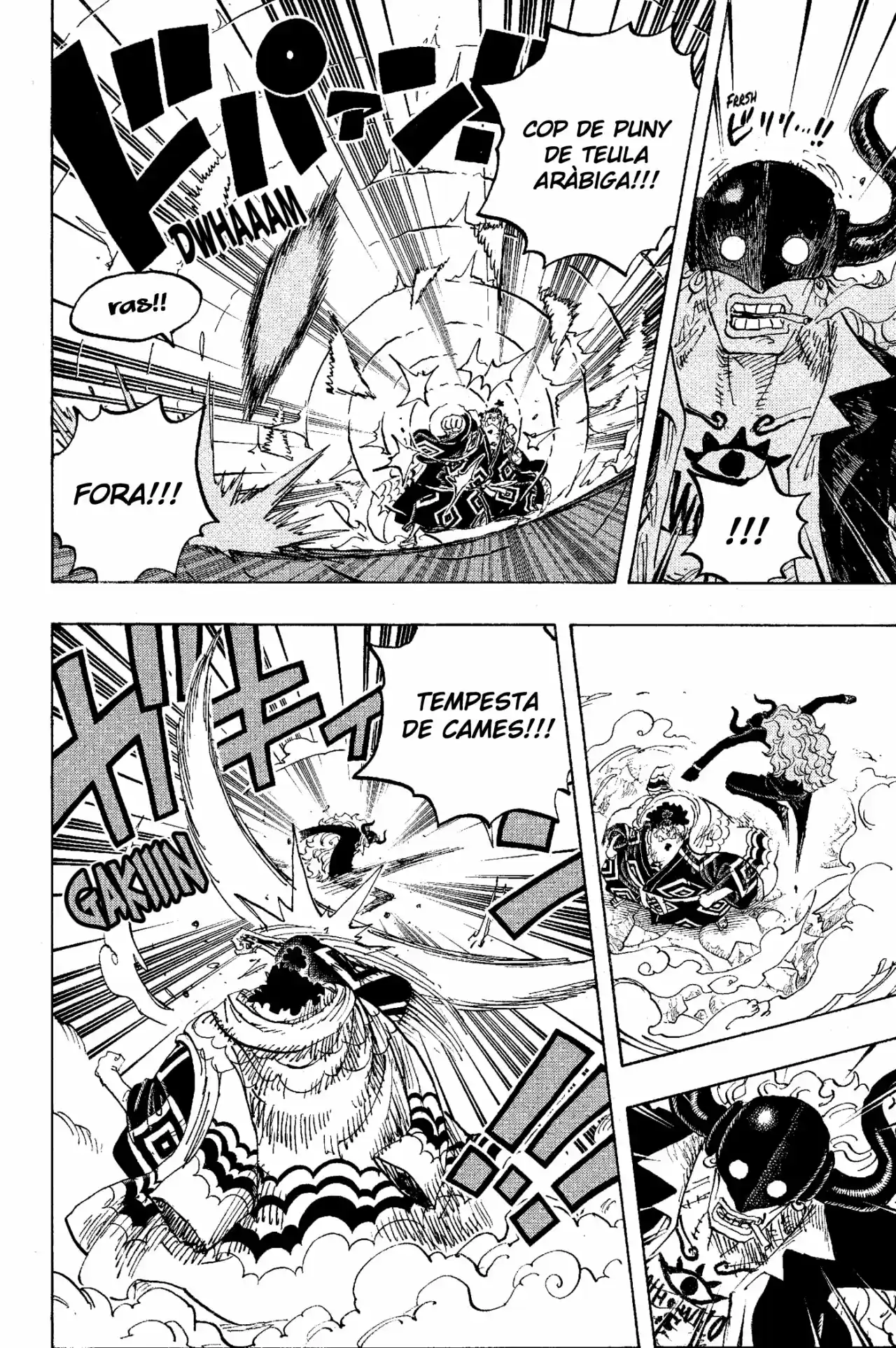 One Piece (Català) - Capítulo 1017 - Página 14 - LectorTMOo