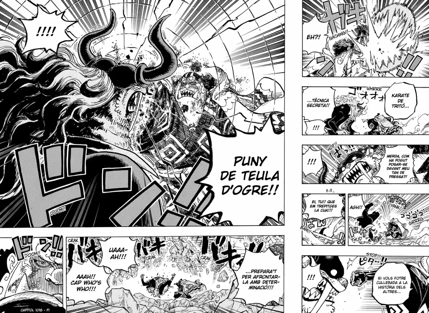 One Piece (Català) - Capítulo 1018 - Página 16 - LectorTMOo