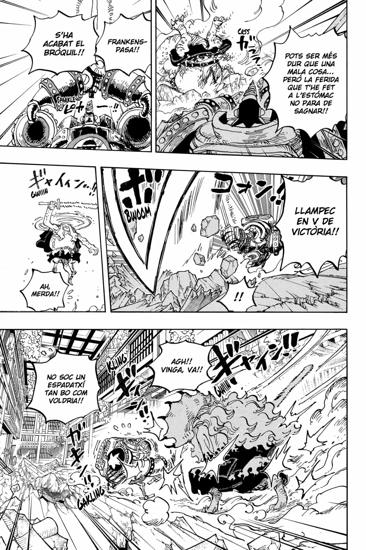 One Piece (Català) - Capítulo 1019 - Página 13 - LectorTMOo