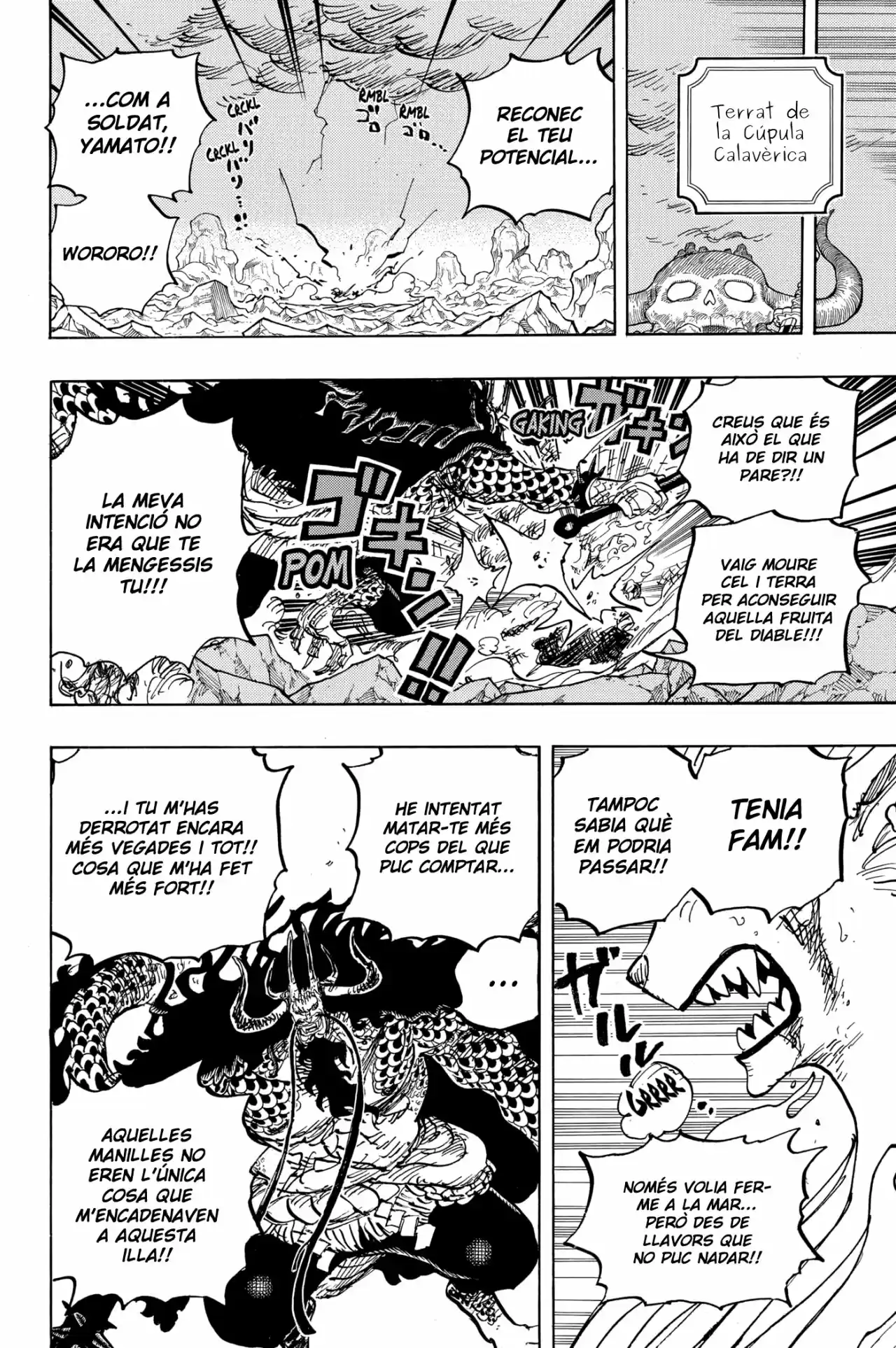 One Piece (Català) - Capítulo 1019 - Página 17 - LectorTMOo