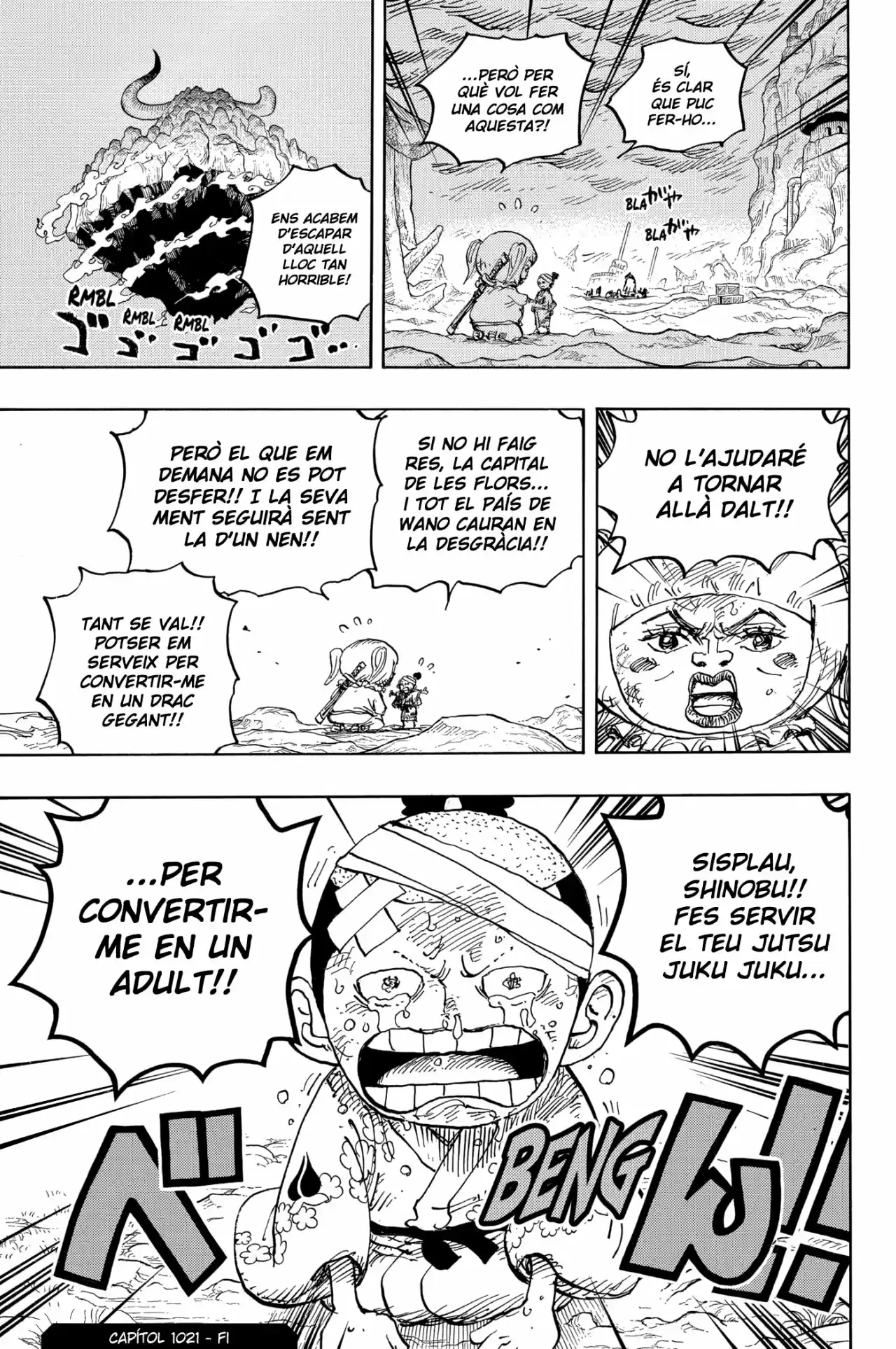 One Piece (Català) - Capítulo 1021 - Página 15 - LectorTMOo