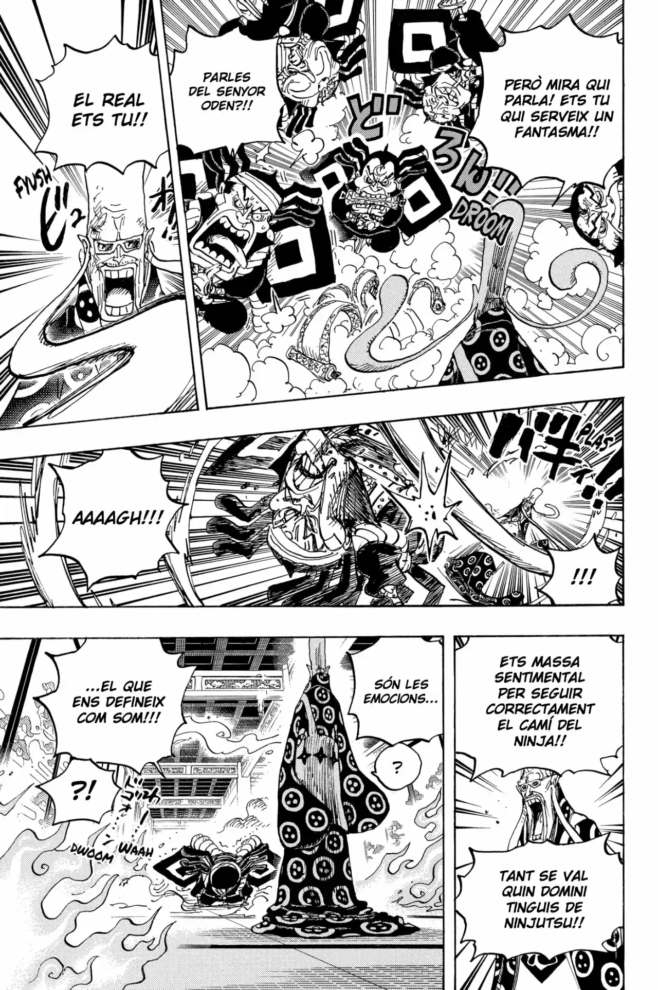 One Piece (Català) - Capítulo 1022 - Página 5 - LectorTMOo