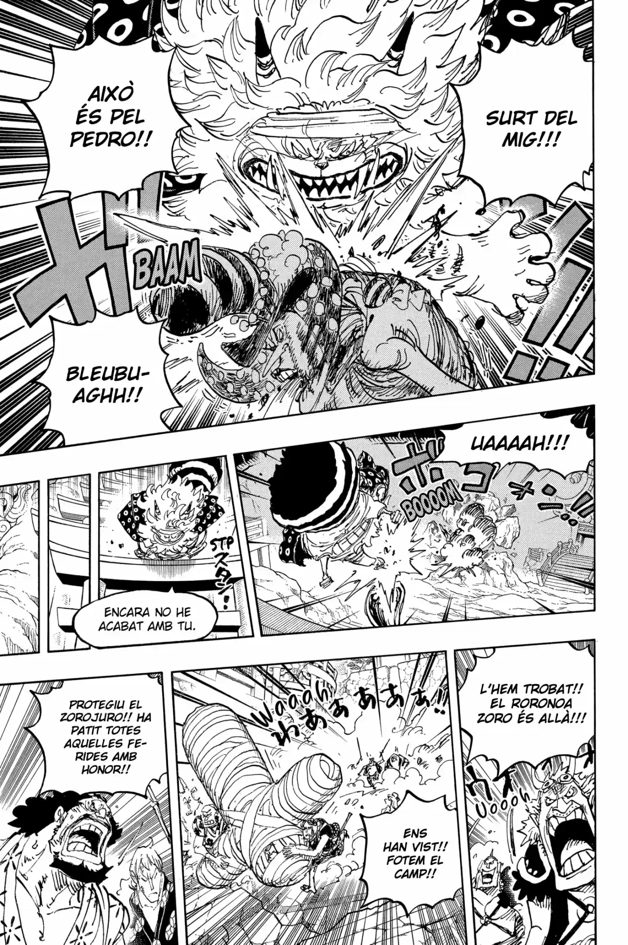 One Piece (Català) - Capítulo 1022 - Página 12 - LectorTMOo