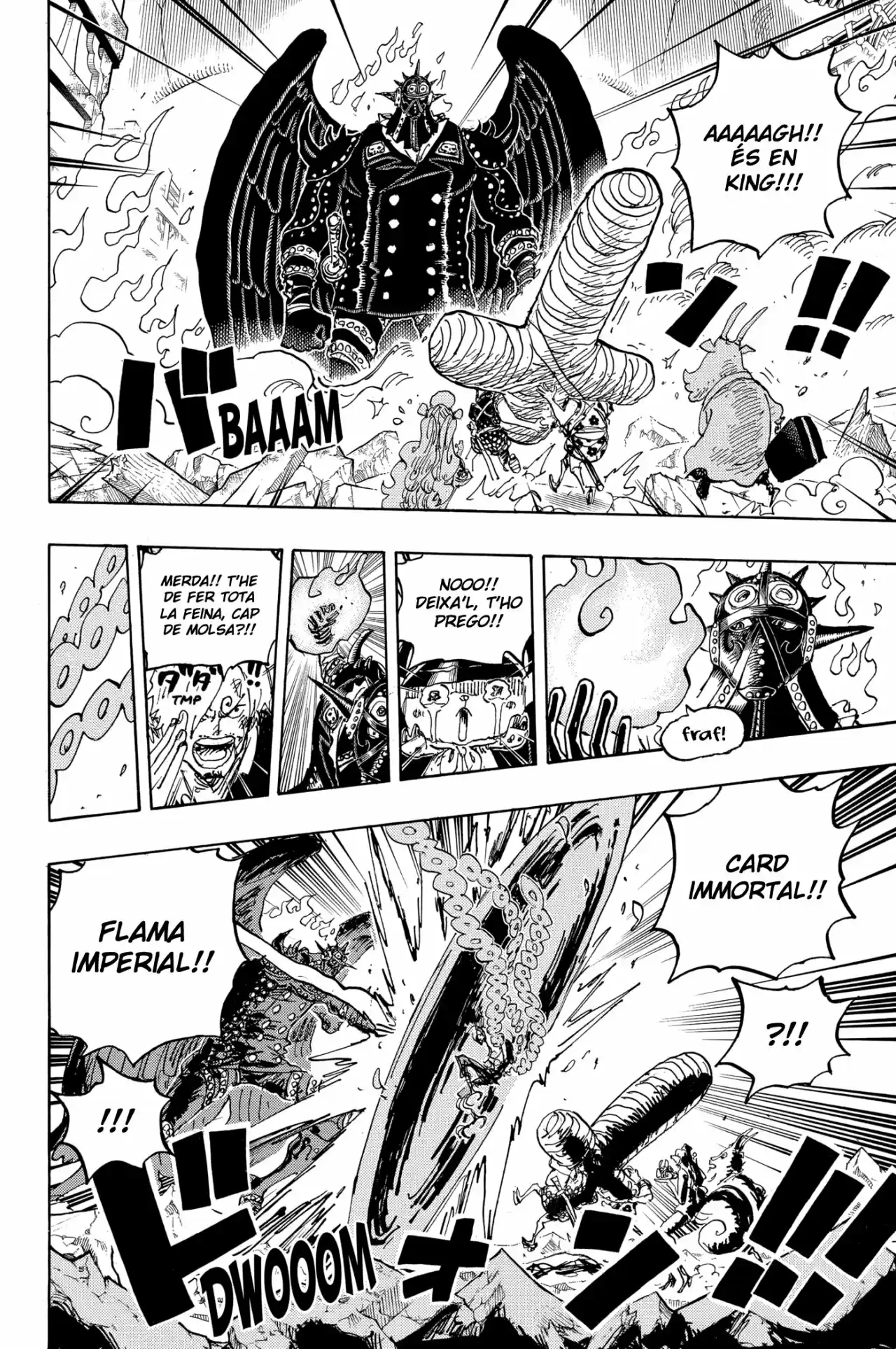 One Piece (Català) - Capítulo 1022 - Página 13 - LectorTMOo