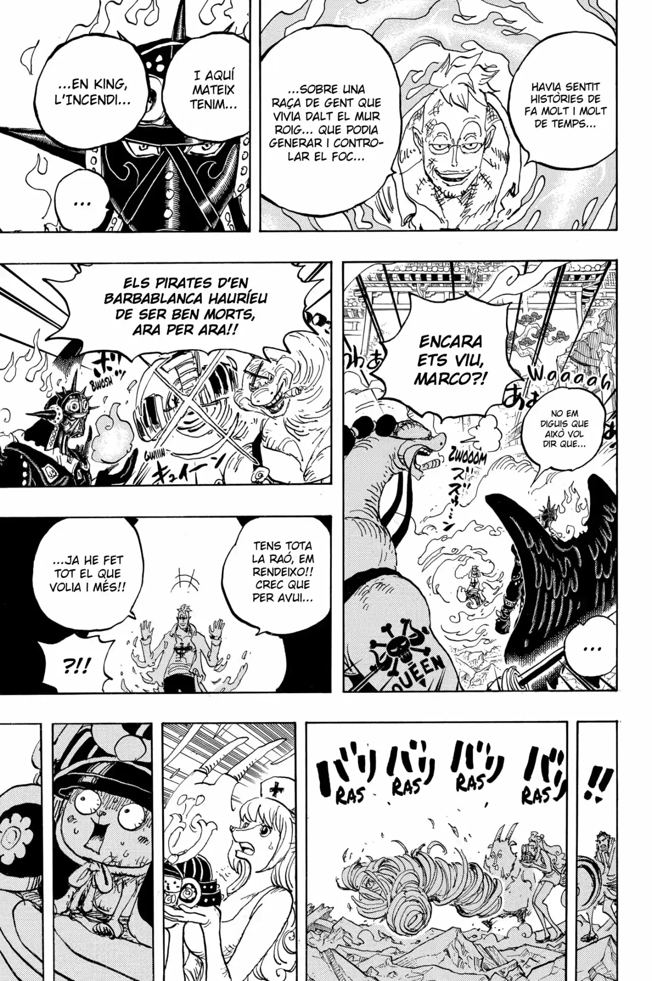 One Piece (Català) - Capítulo 1022 - Página 14 - LectorTMOo