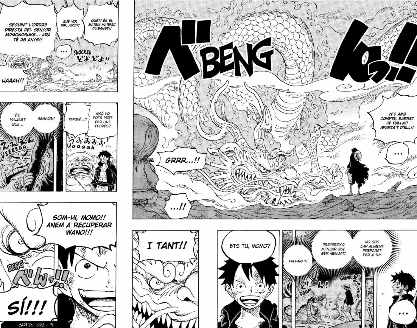 One Piece (Català) - Capítulo 1023 - Página 17 - LectorTMOo