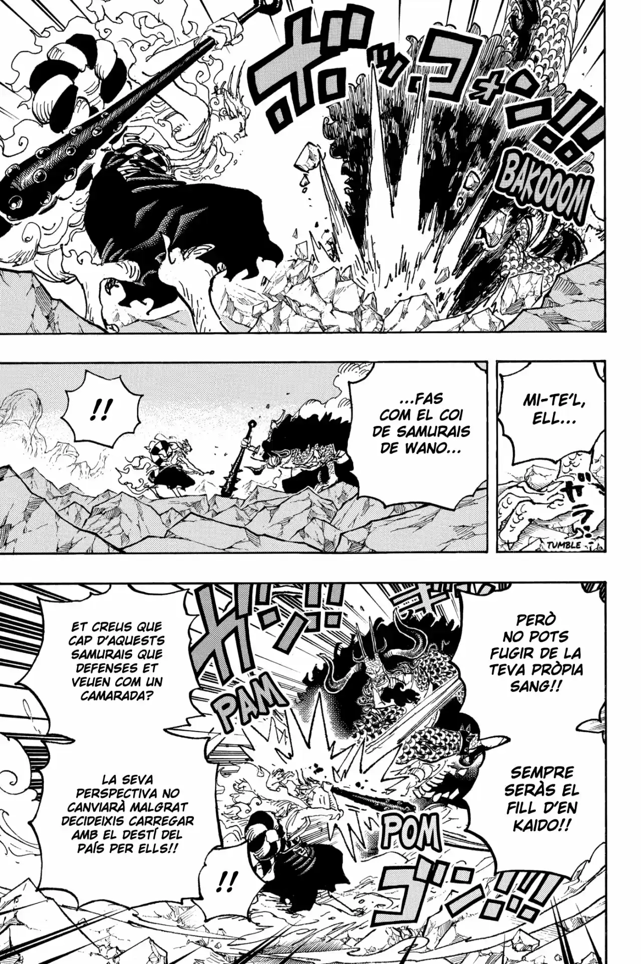 One Piece (Català) - Capítulo 1025 - Página 5 - LectorTMOo