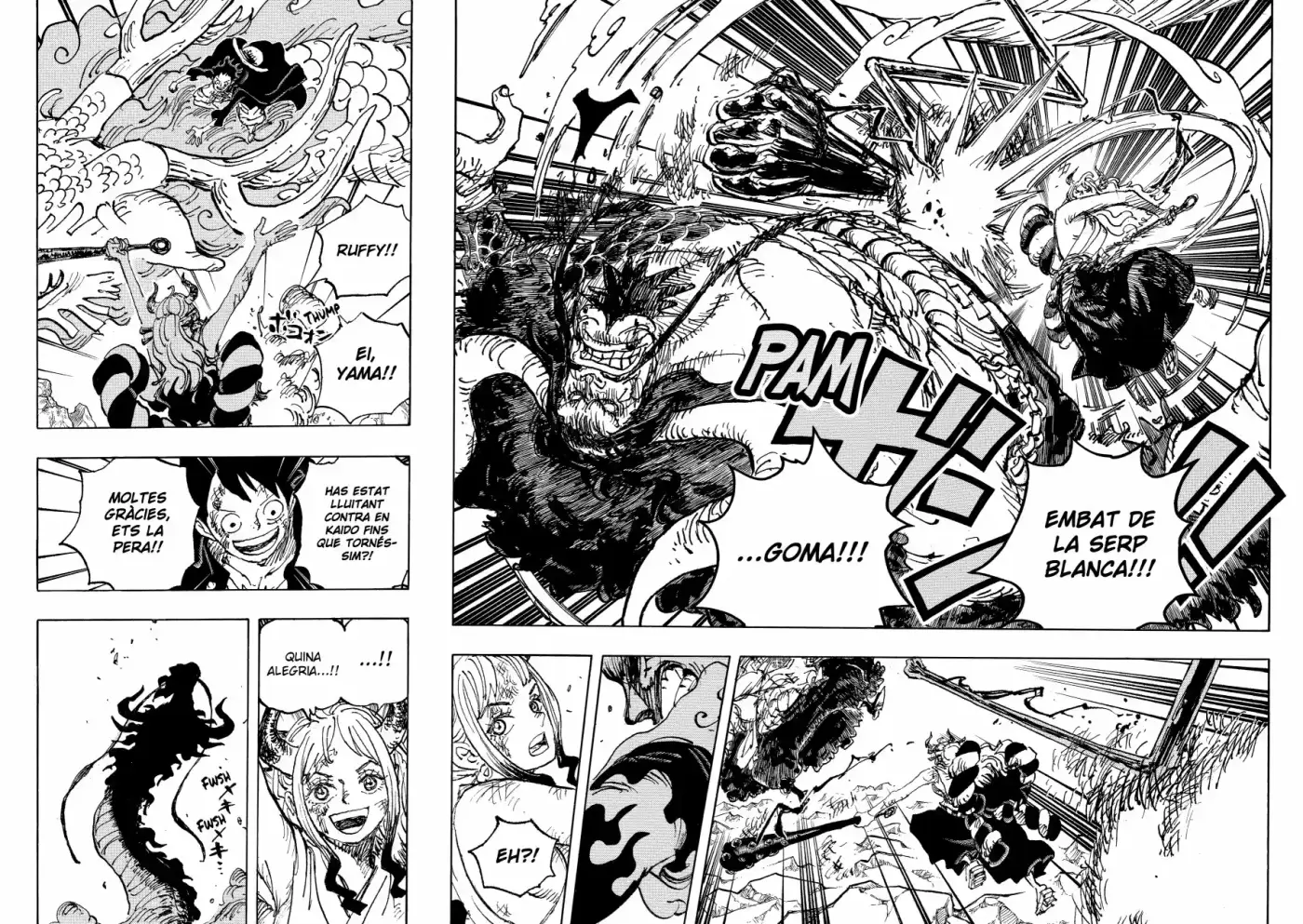 One Piece (Català) - Capítulo 1025 - Página 13 - LectorTMOo