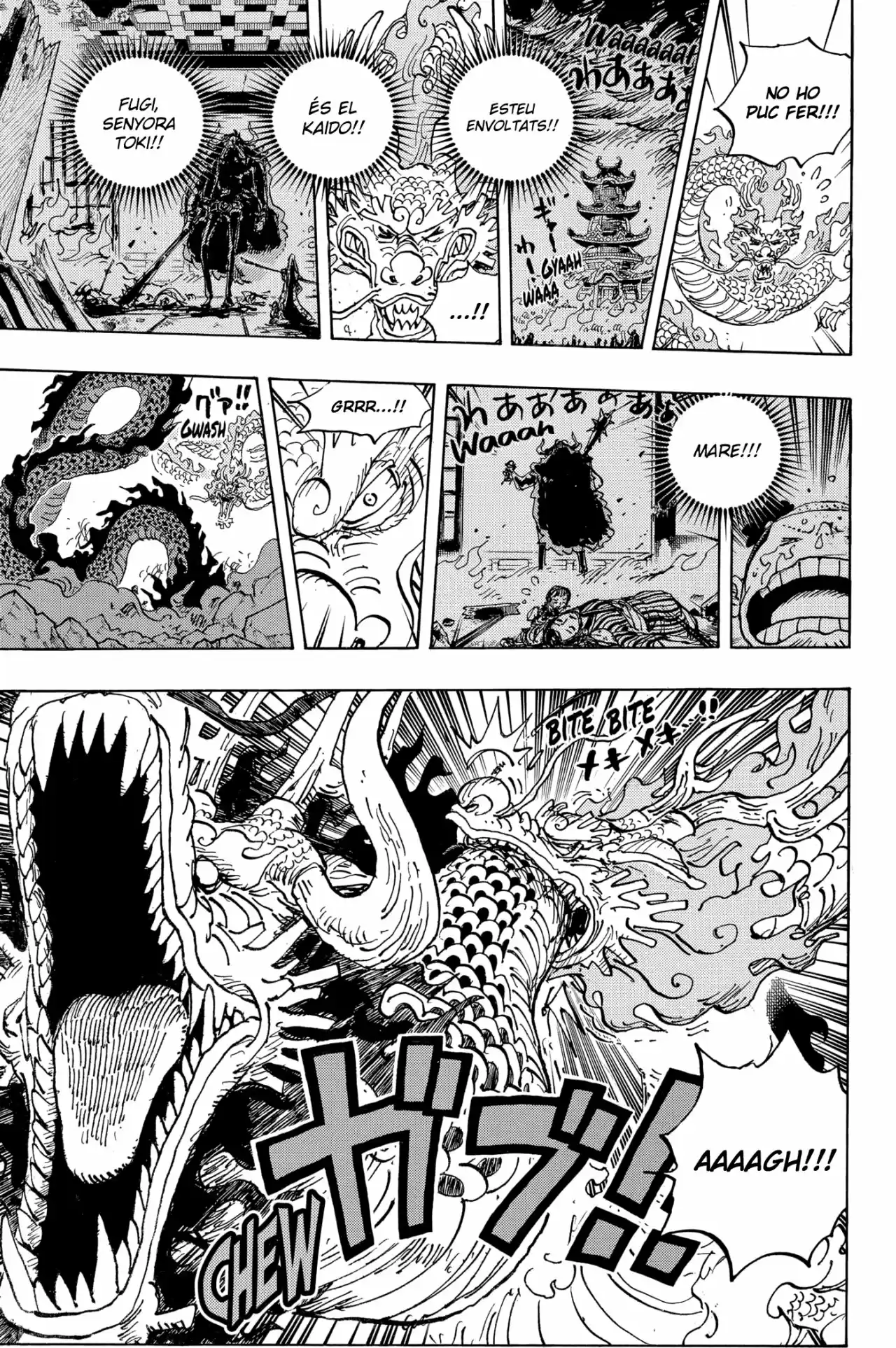 One Piece (Català) - Capítulo 1026 - Página 7 - LectorTMOo