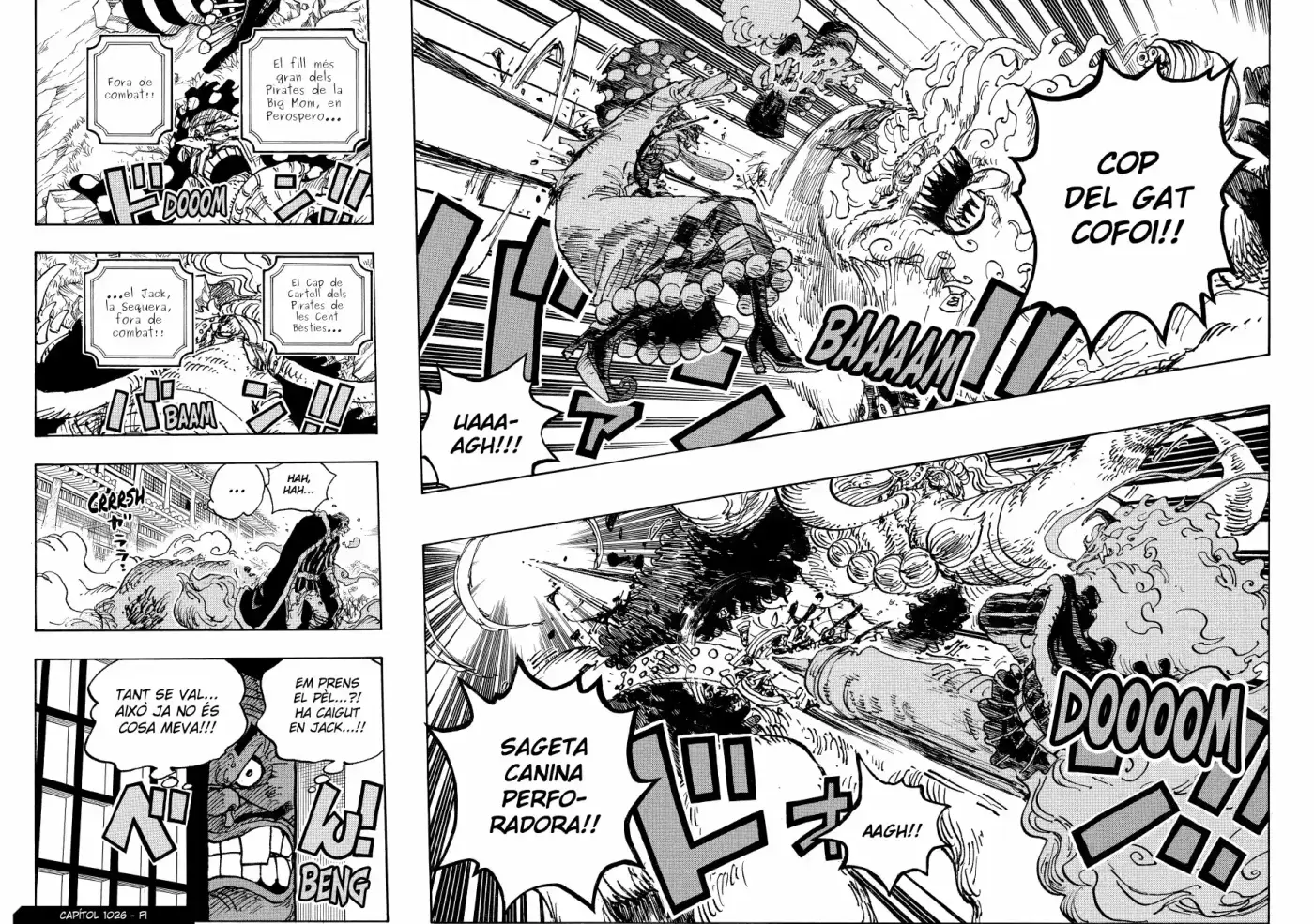 One Piece (Català) - Capítulo 1026 - Página 14 - LectorTMOo