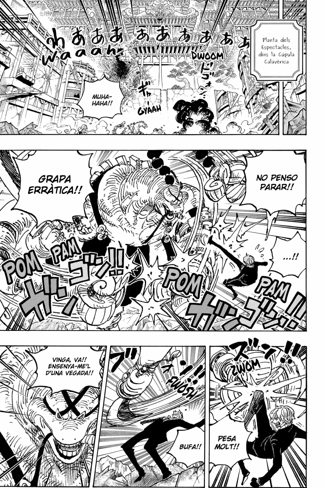 One Piece (Català) - Capítulo 1028 - Página 9 - LectorTMOo