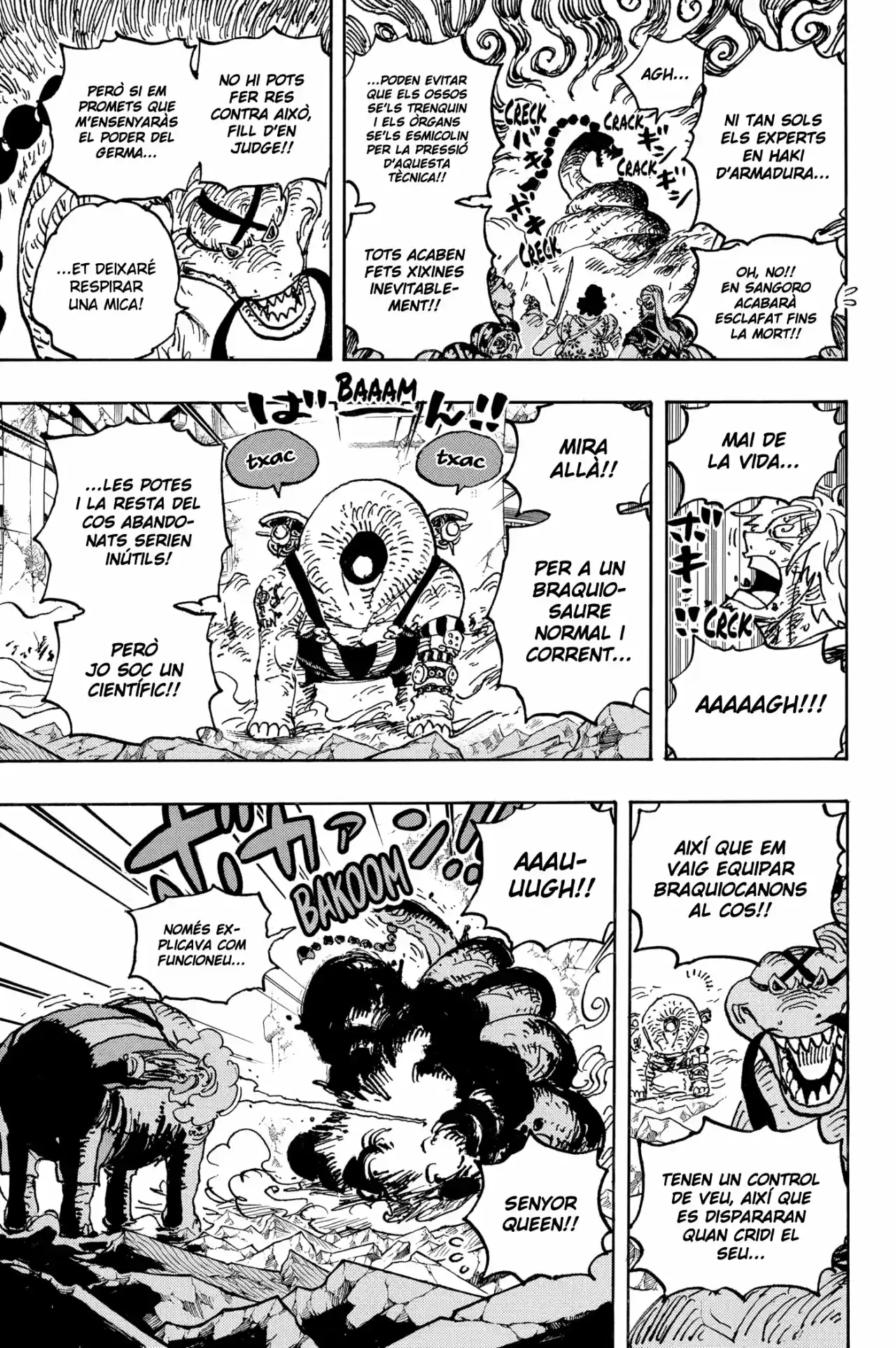 One Piece (Català) - Capítulo 1028 - Página 15 - LectorTMOo
