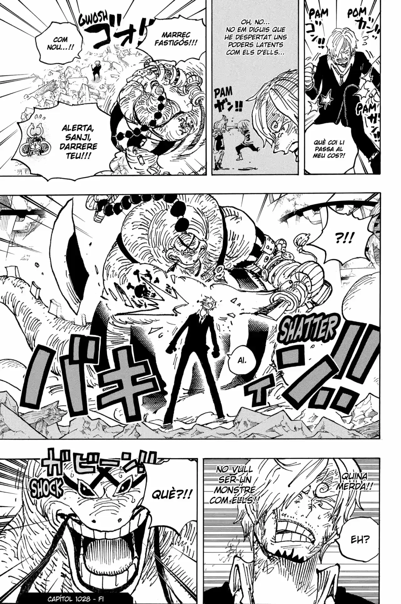 One Piece (Català) - Capítulo 1028 - Página 17 - LectorTMOo